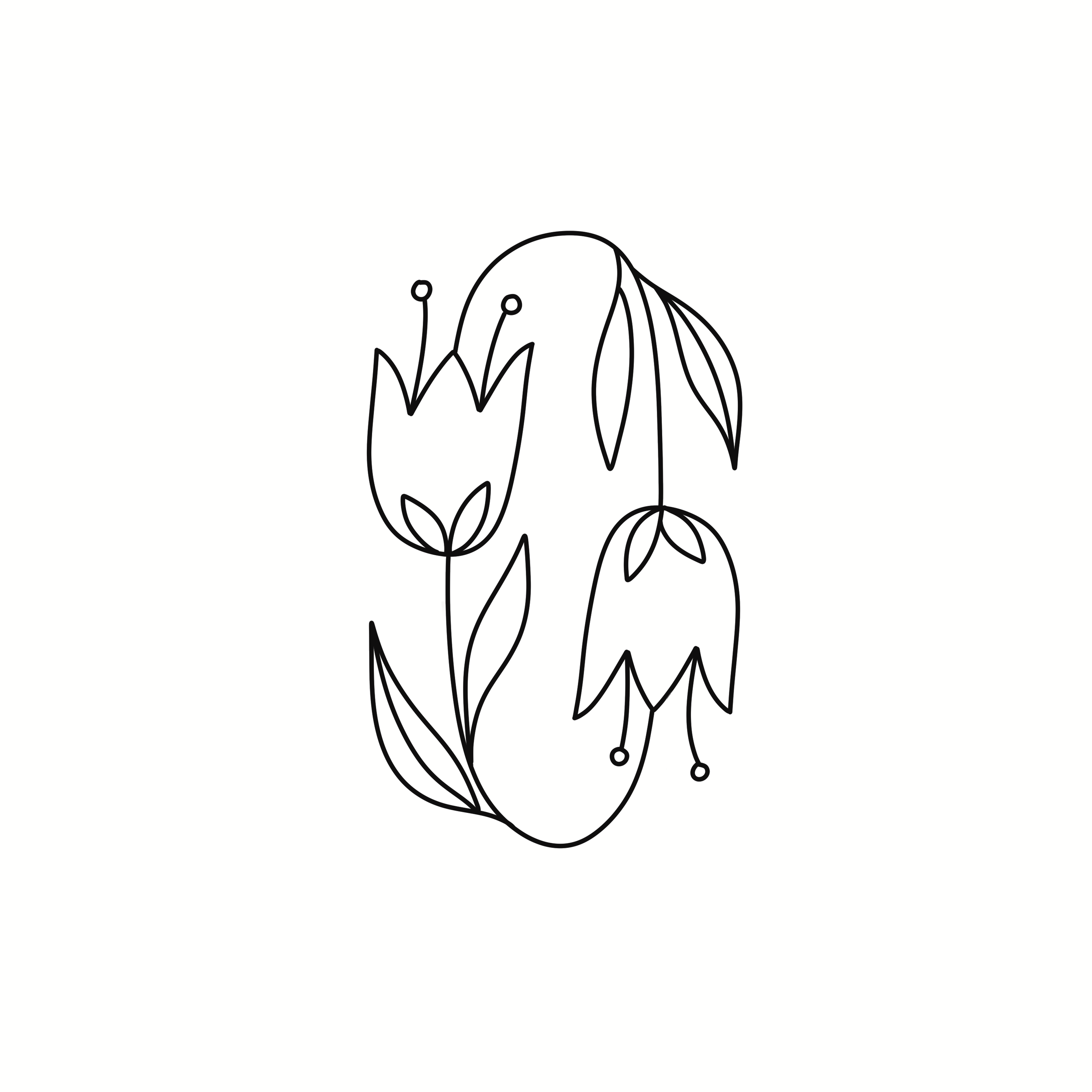 Untitled_Artwork 3.png