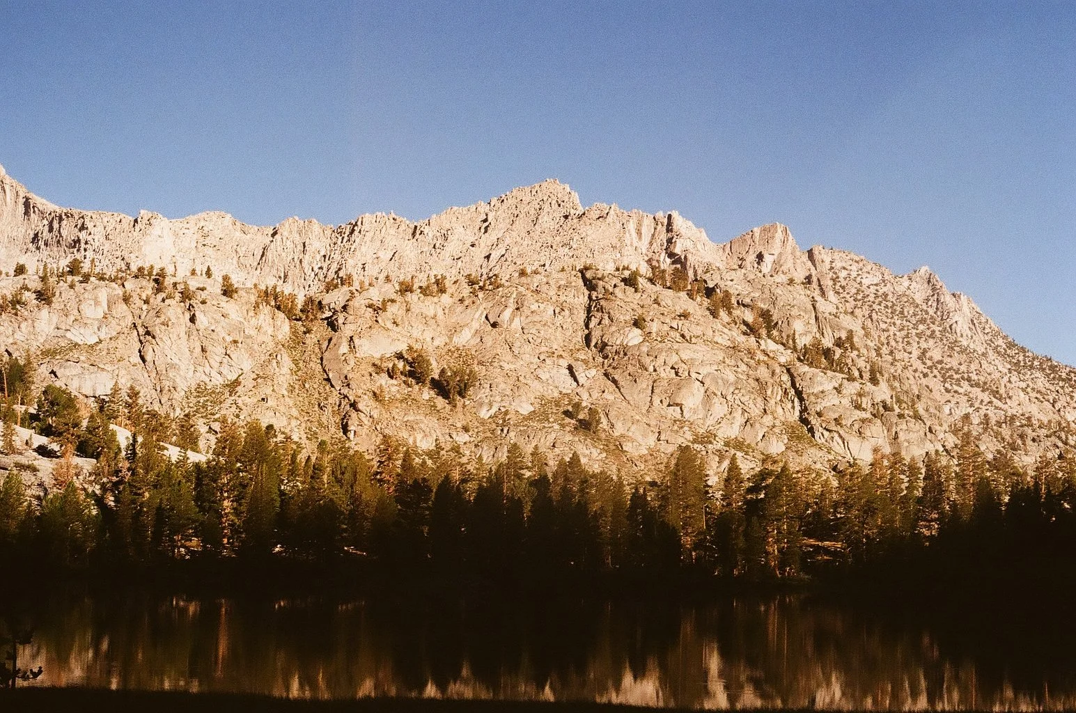 42C86412-0CB0-4553-87D0-49D26C954F2C.jpeg