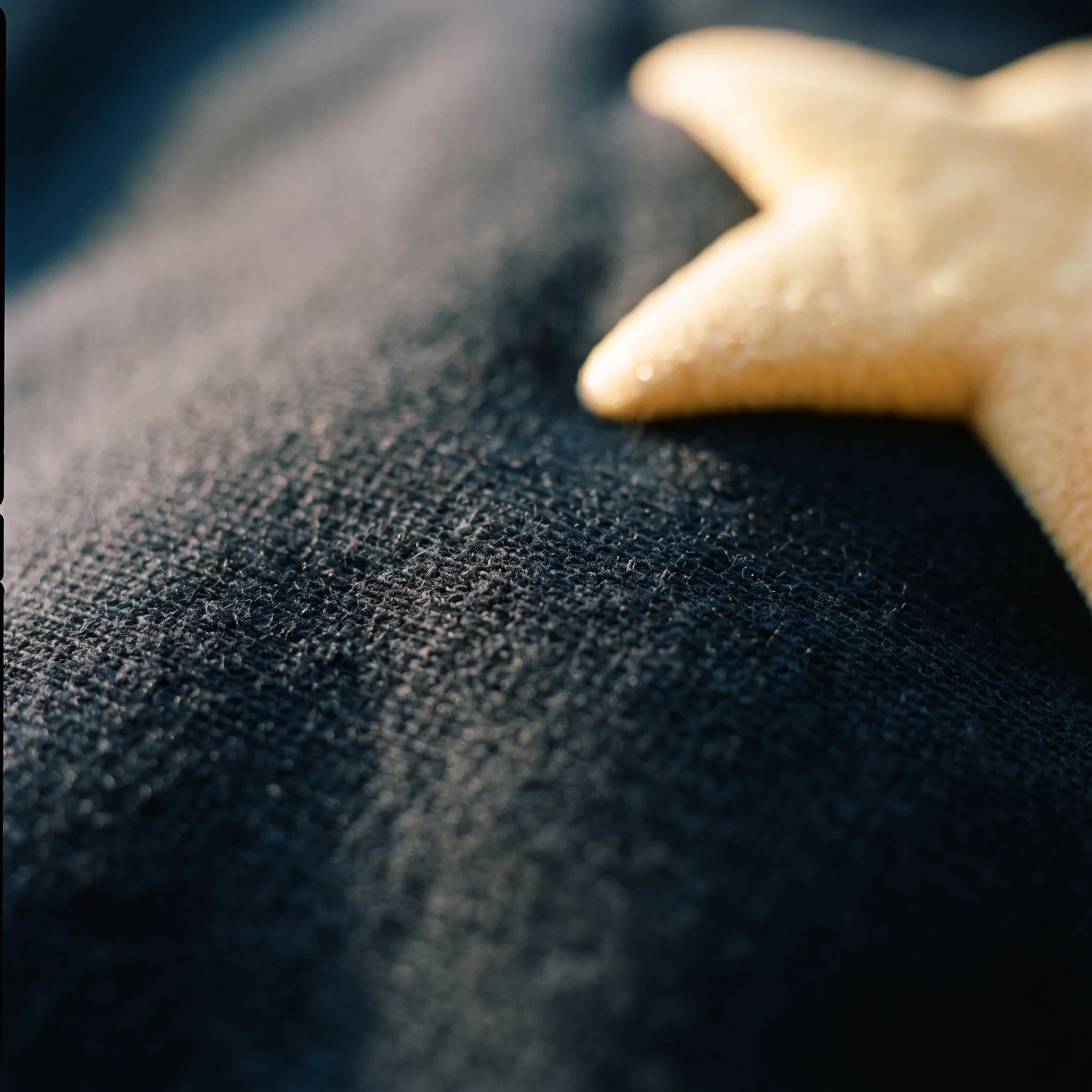 Gold puff star macro on the Black Hoodie sleeve, showing raised print and cotton texture.
