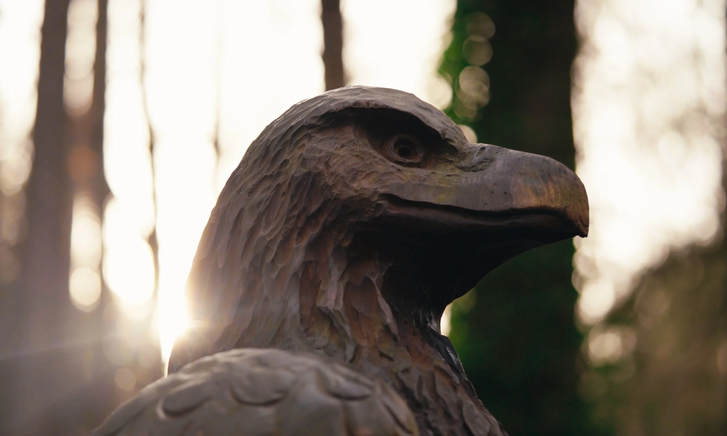 Close-up of a wooden eagle carving with sunlight backlighting it, set against a blurred forest background.