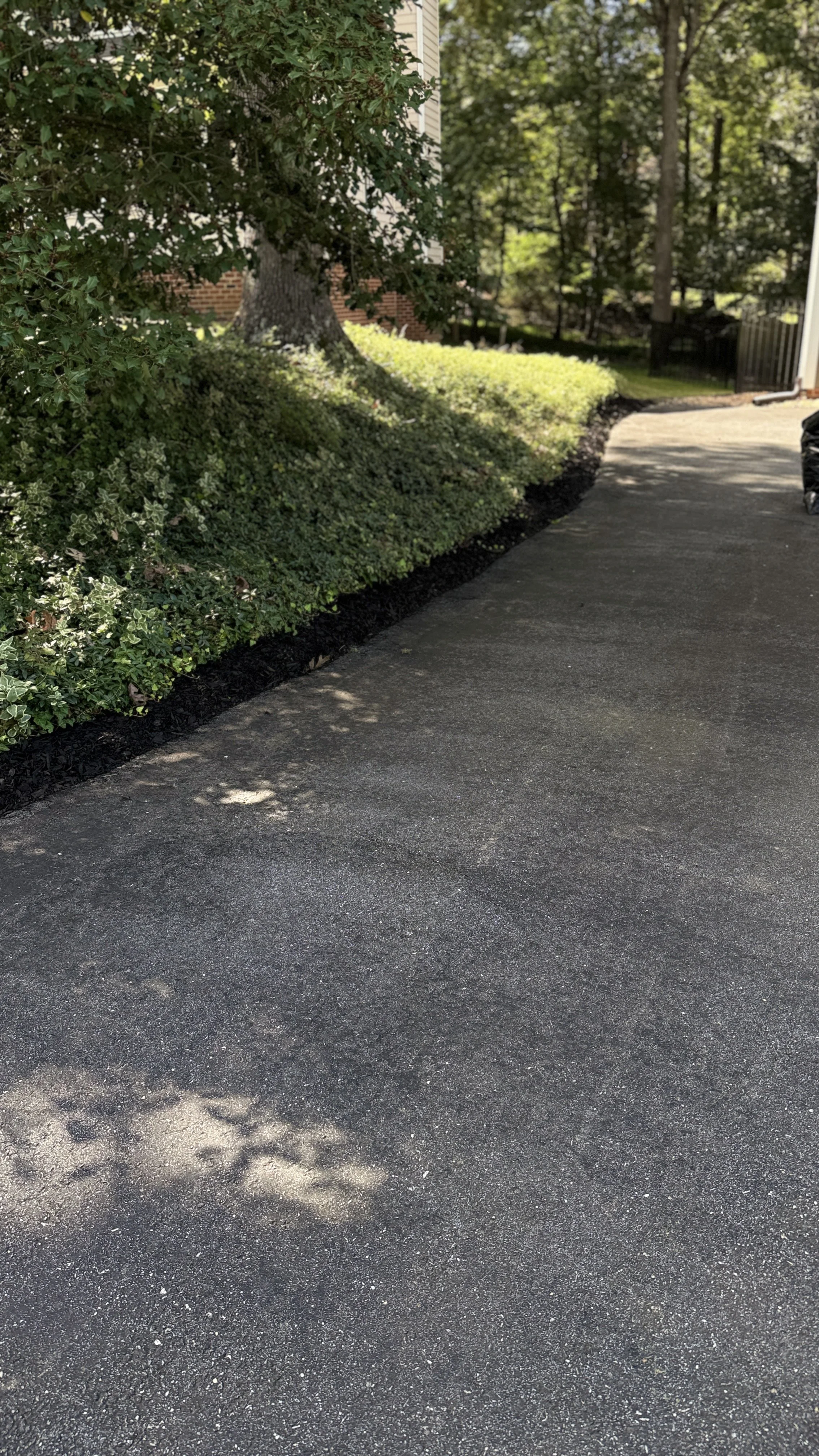A paved driveway bordered by well-maintained bushes and a large tree. Sunlight filters through the trees, creating dappled shadows on the ground.