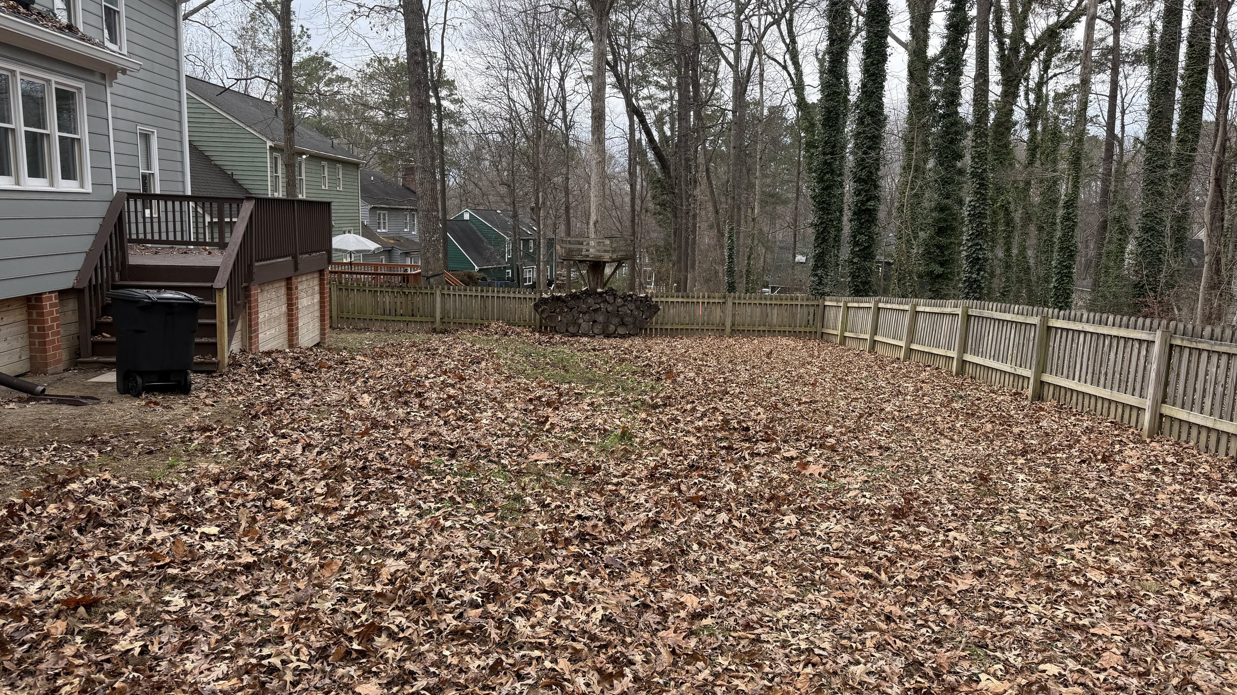 Backyard yard covered with fallen leaves, bordered by a wooden fence and trees with vines growing on them. A raised deck with stairs and a trash bin is on the left side.