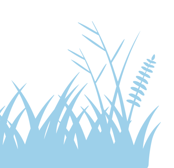 An illustration of blue grass and wheat.