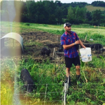 Dan Wilson wearing a baseball cap, plaid shirt, and work shorts. He's standing in pig pens with a bucket and working.