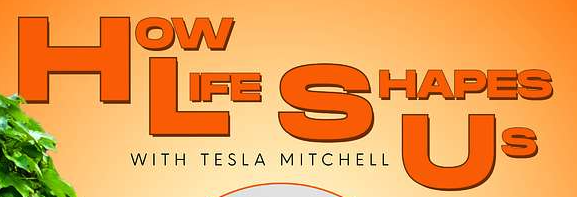How Life Shapes Us With Tesla Mitchell