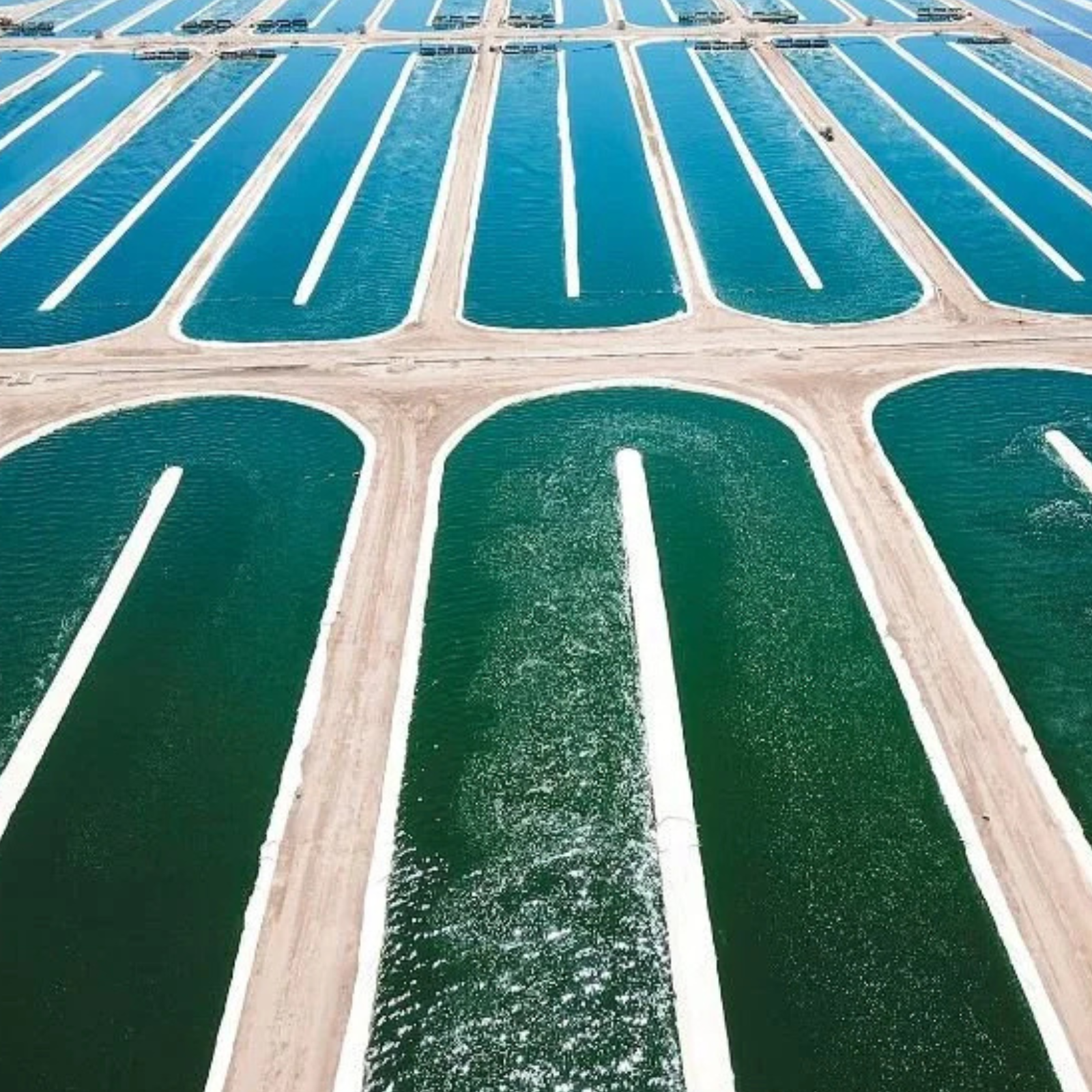 Aerial view of multiple rectangular and semi-circular water channels separated by sandy embankments, likely part of a solar salt pond evaporation facility.