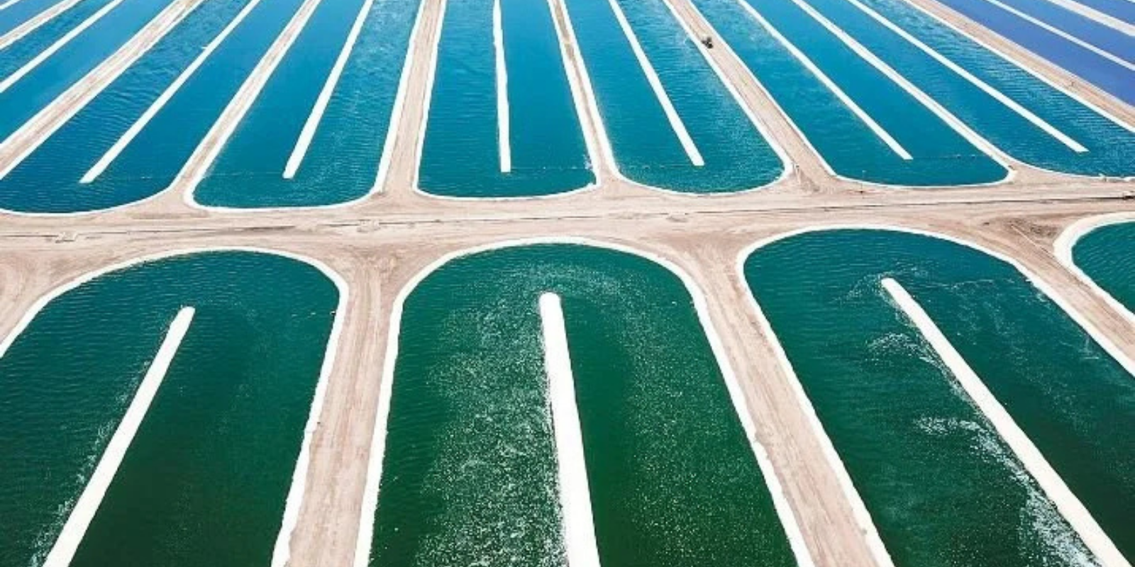 Earthrise-web-1600-800- (13).png