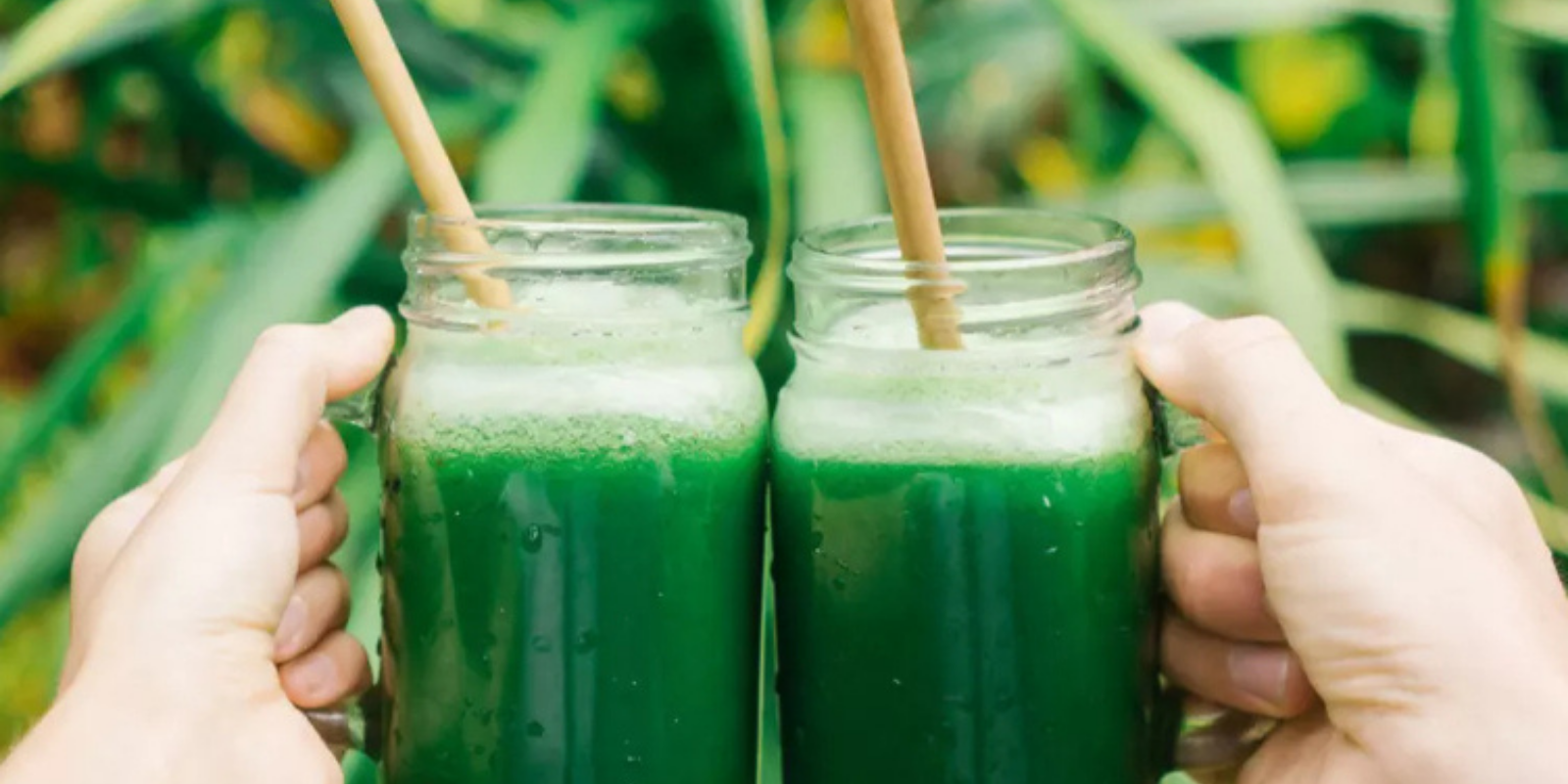 Apple Cider Vinegar Spirulina Smoothie