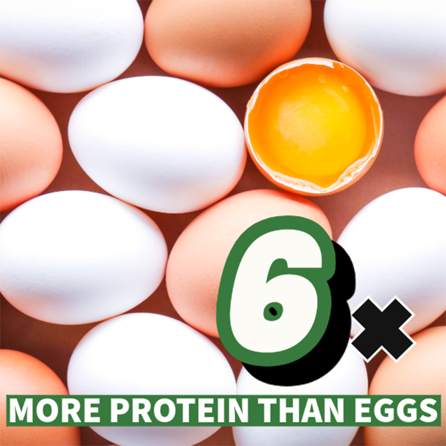 Assorted eggs, one cracked open to reveal yolk, with text overlay stating "6x MORE PROTEIN THAN EGGS".