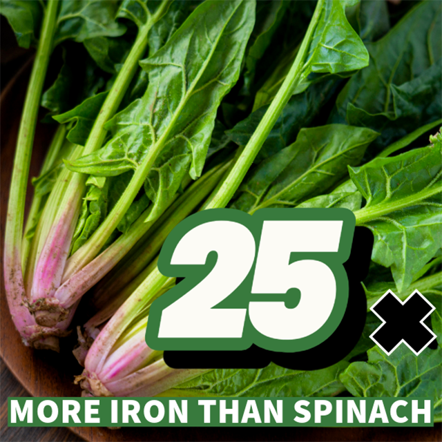 Close-up of fresh spinach with a graphic overlay stating "25x more iron than spinach" in bold text.