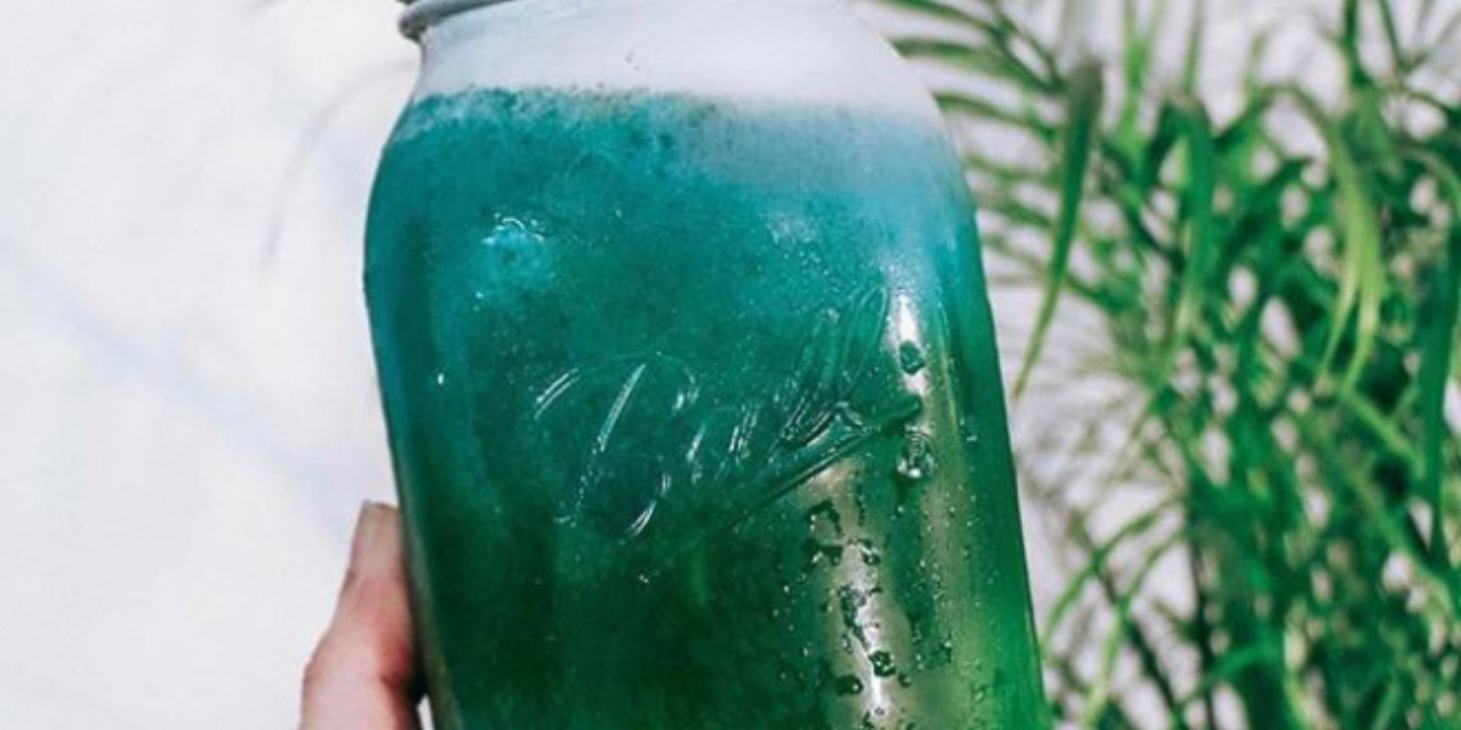 Mermaid Water Spirulina Drink