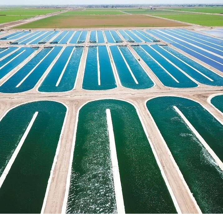 DIC group opens DIC/EARTHRISE algae research center in the United States