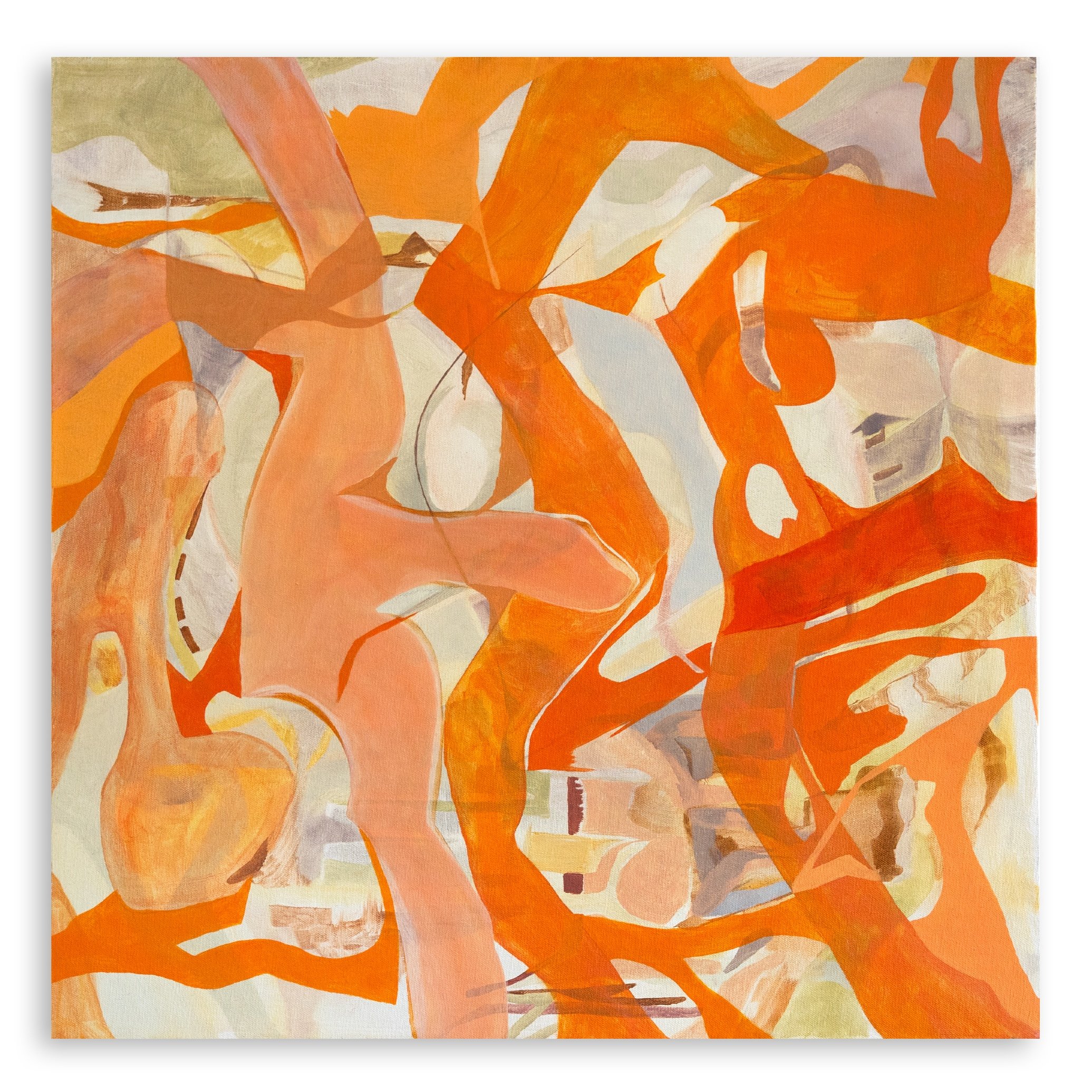 Untitled/Tangerine 2026 | Oil on canvas | 24 x 24 inches 60.9 x 60.9 cm