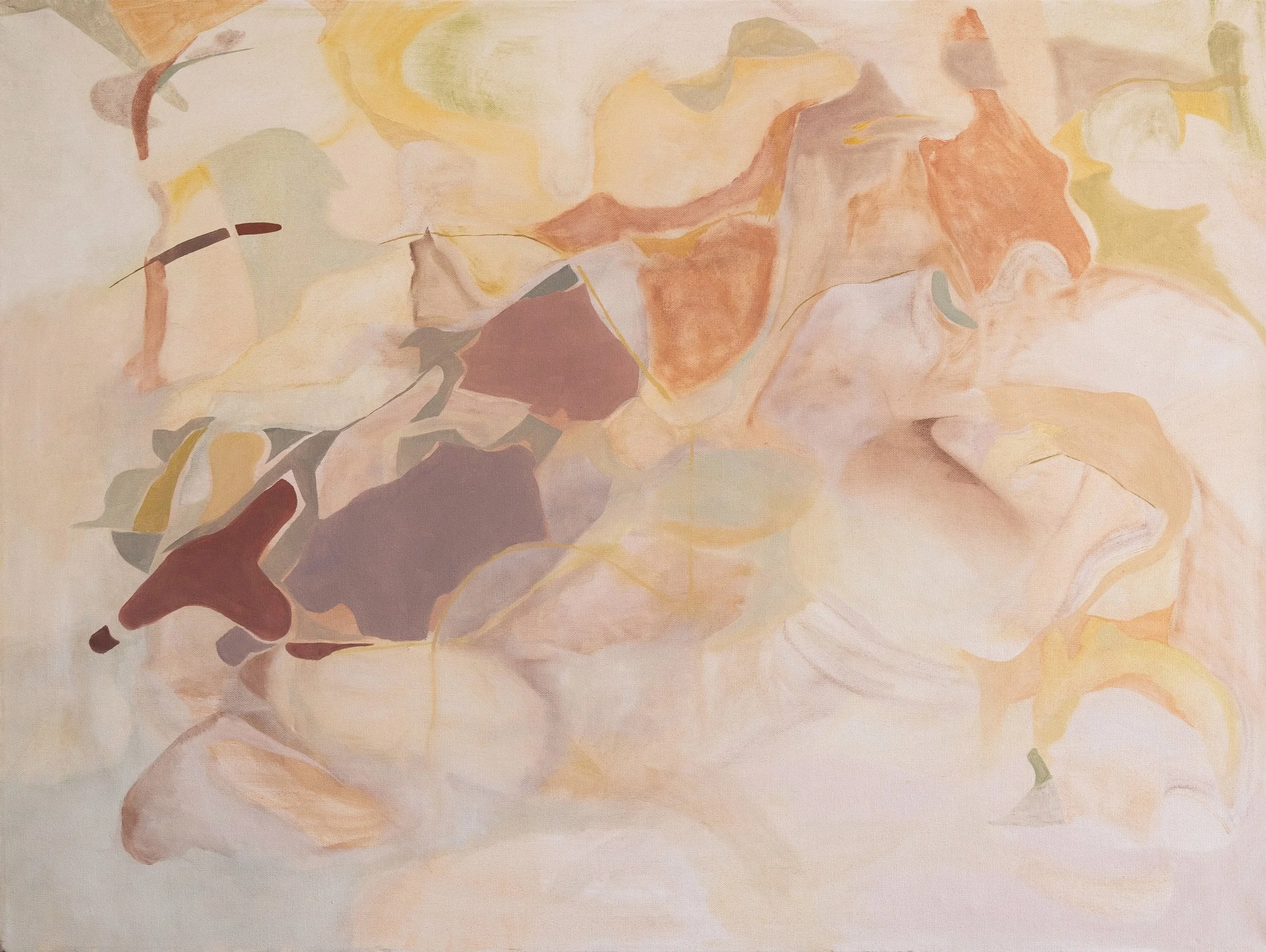 Thought Bubble 2025 | Oil on canvas | 30 x 40 inches 76.2 x 101.6 cm