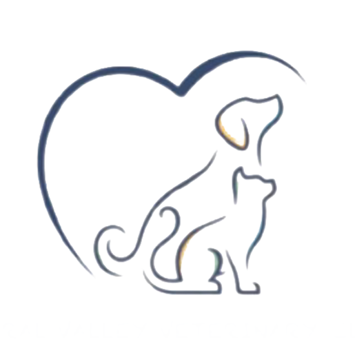 Central Valley Veterinary Clinic