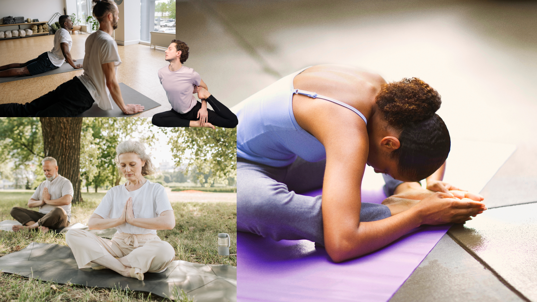 Yogic Deep Study: Expansion Package [9]