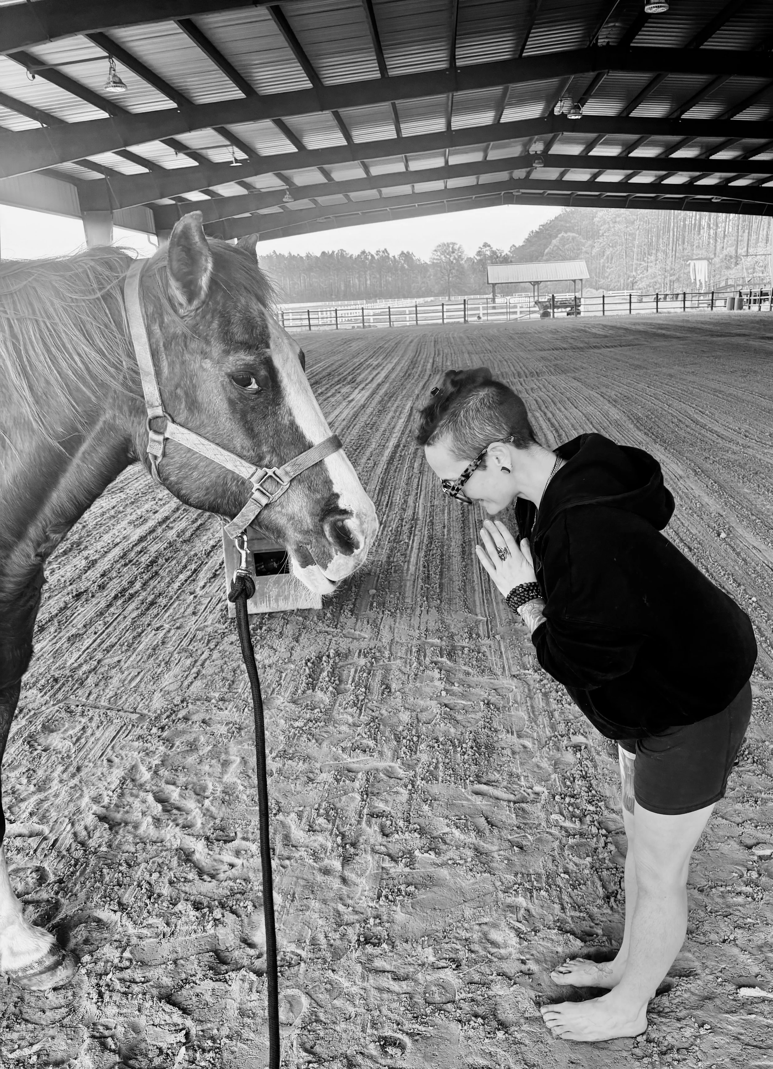 A person with short hair and glasses, wearing a black hoodie and shorts, kneeling barefoot on the ground, holds their hands in a praying position with palms together, facing a horse inside a spacious, covered outdoor riding arena. The horse has a halter and is looking at the person, with the arena's roof and fence in the background.