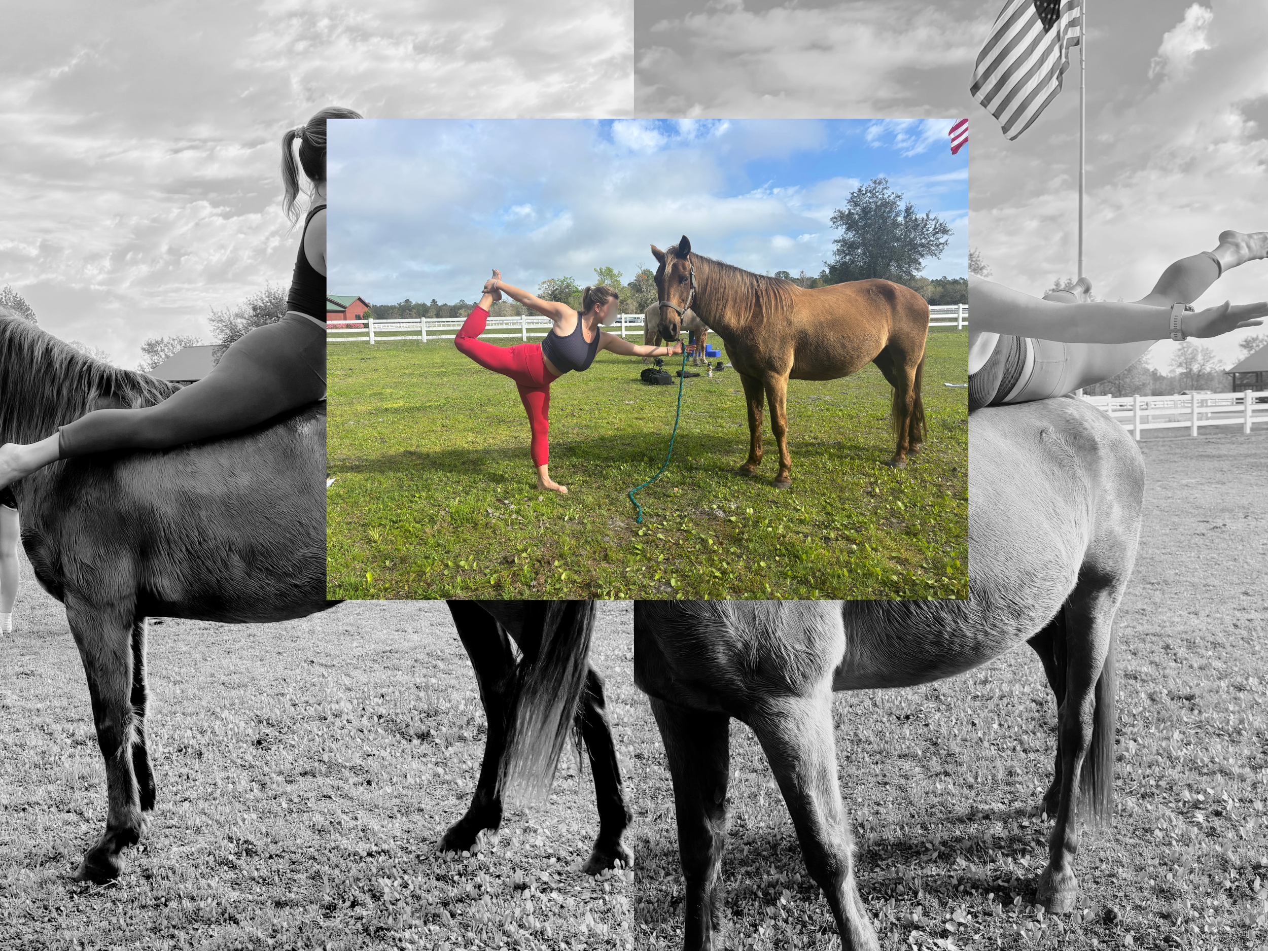 Equine Yoga Silver Package [6 Sessions]