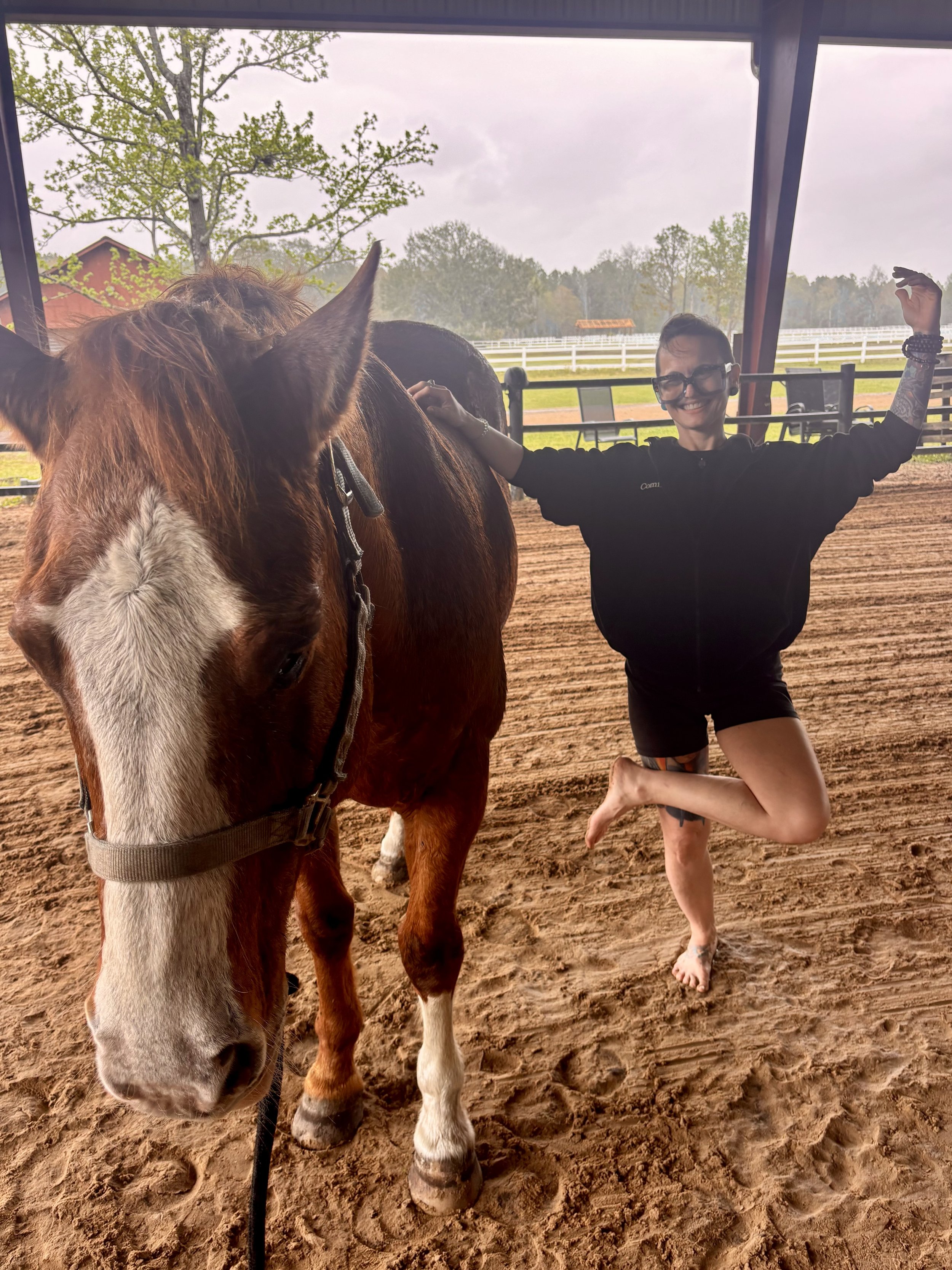 Equine Yoga Gold Package [9 Sessions]