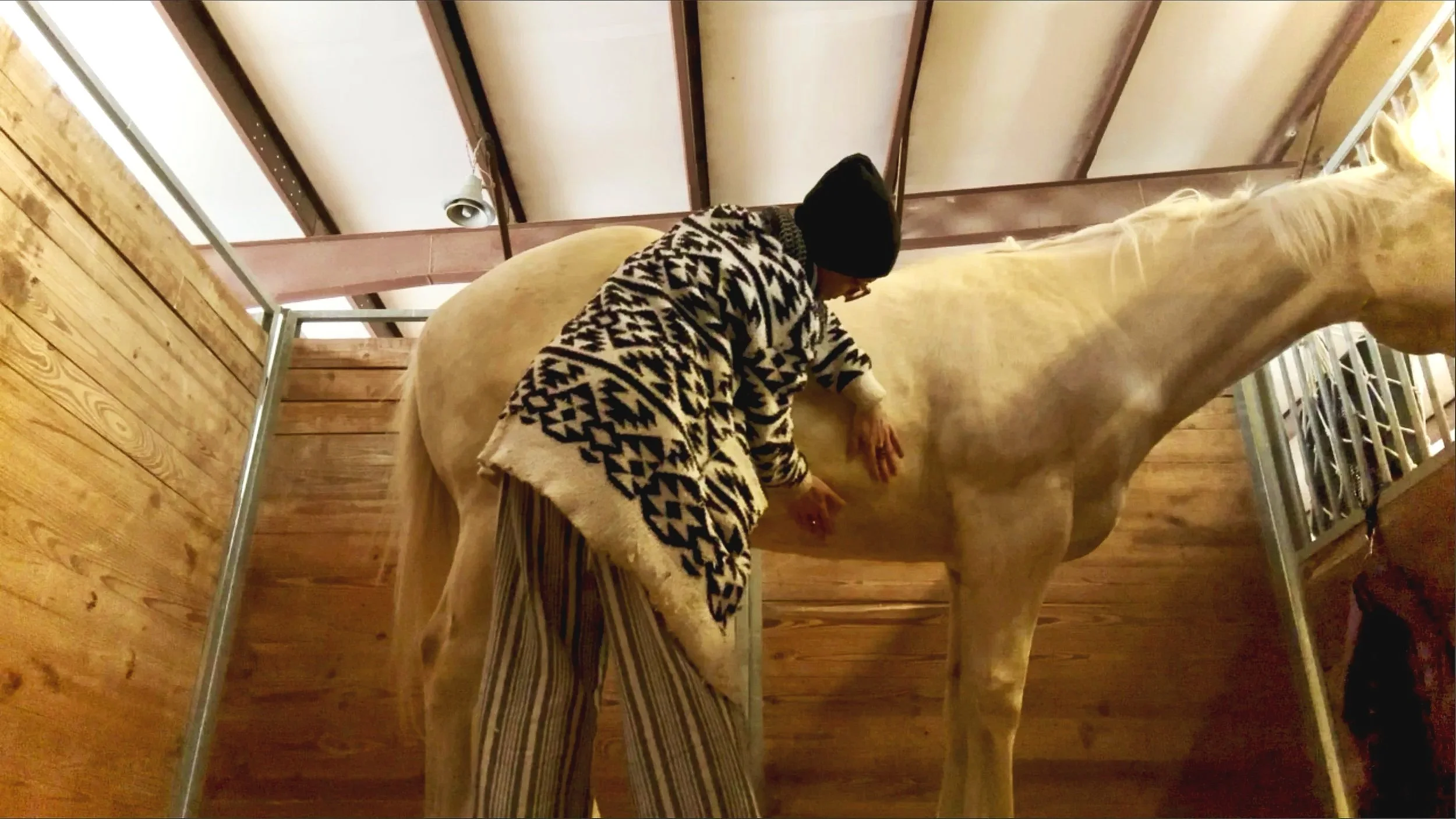 A person wearing a black beanie, a patterned sweater, and striped pants is grooming a light-colored horse inside a wooden stable.