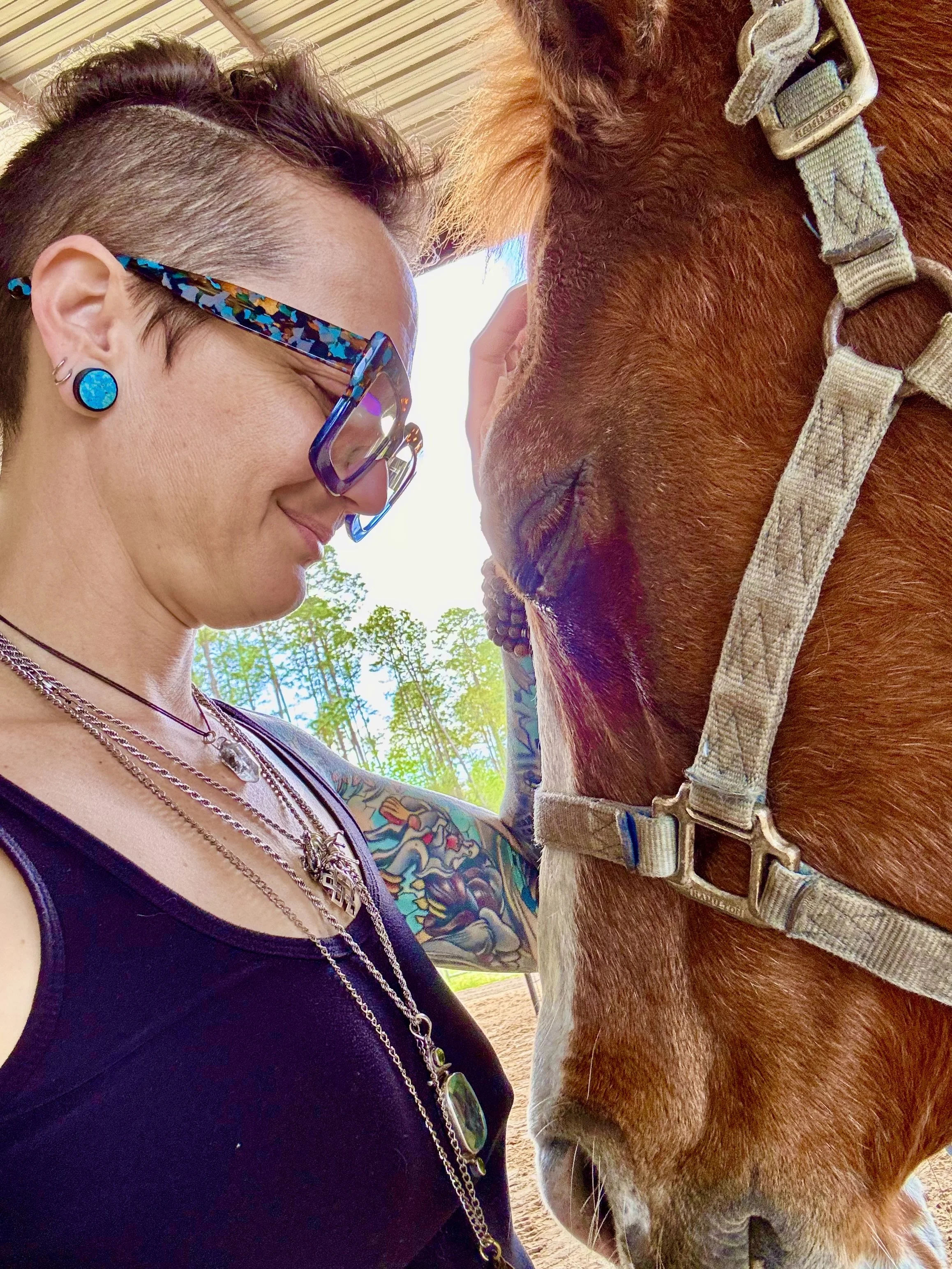 Equine Reiki Bronze Package