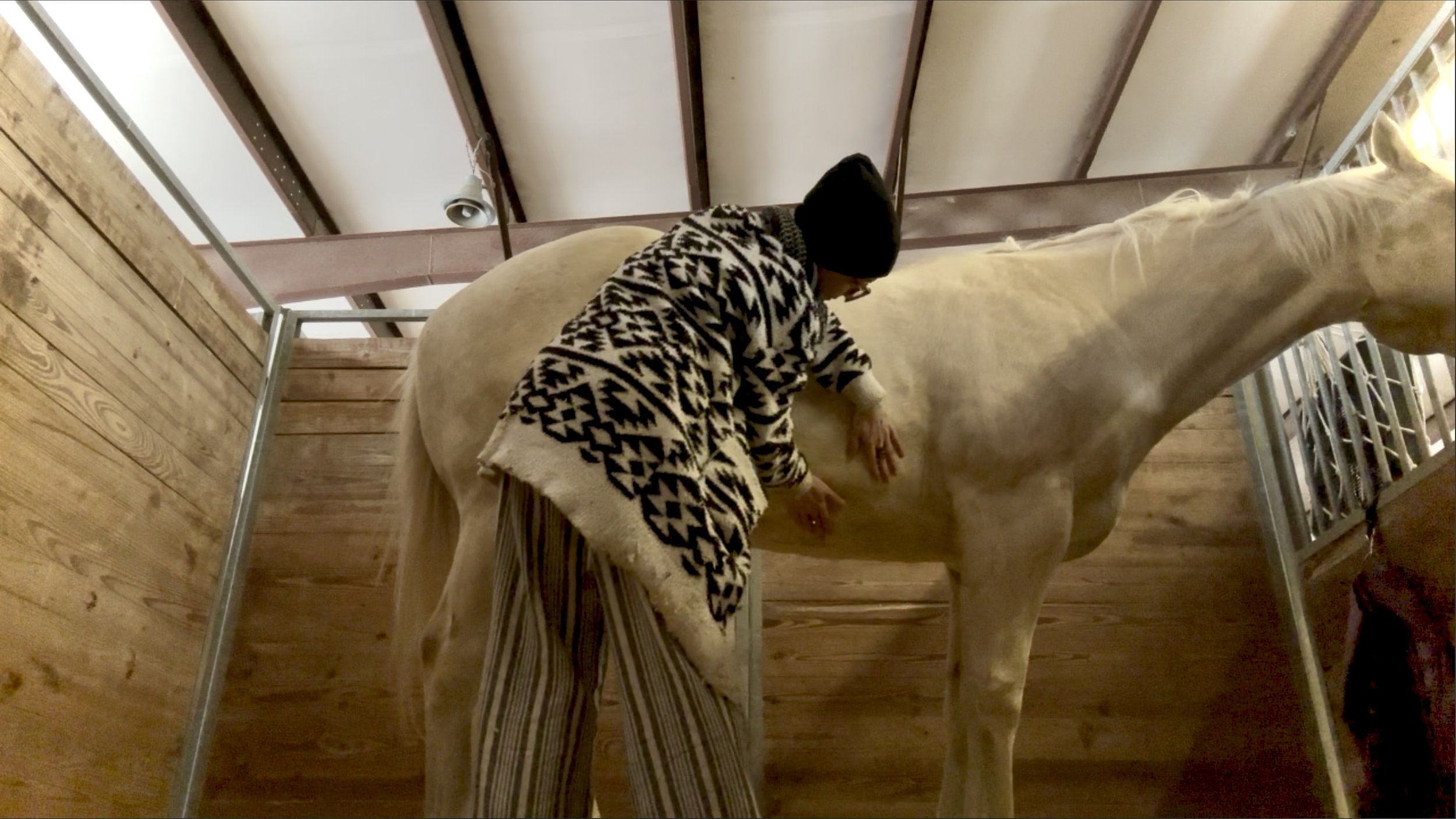 Person wearing a black beanie and patterned coat grooming a light-colored horse in a wooden stable.