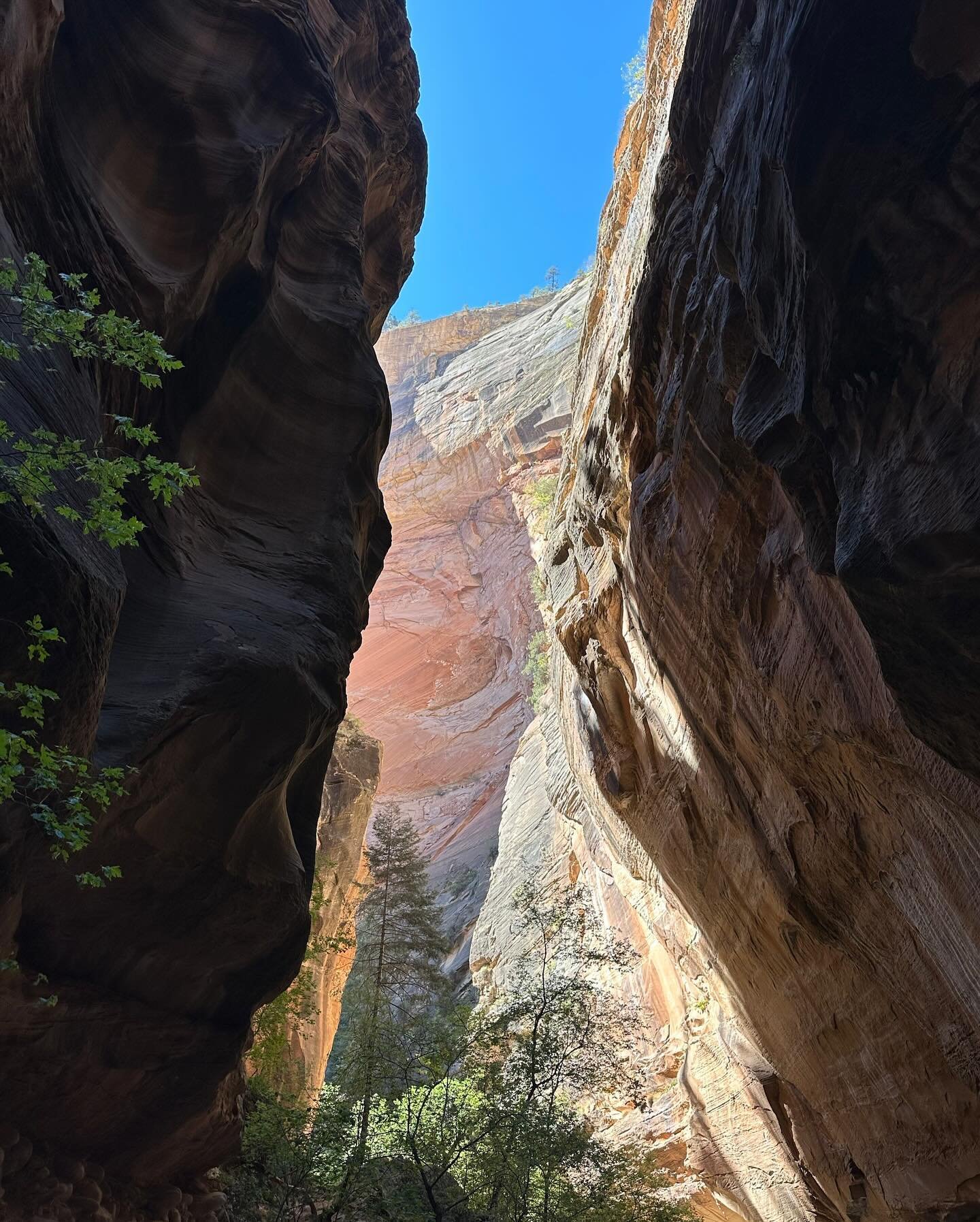 zion for ayn&rsquo;s bday 🥳🏞️ got to hike the narrows 💪🏻🥾