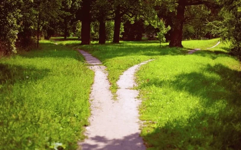 Grief Pathways