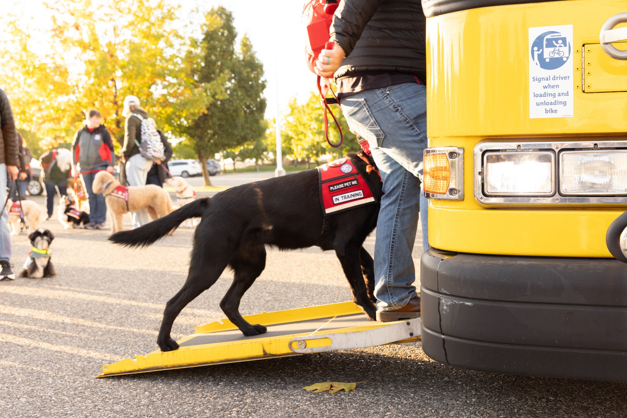 Ben Franklin Transit