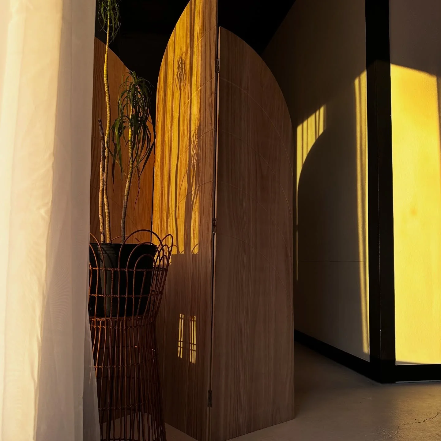 The most important part of The Set is that we utilize all of our space. Our hallway is 6ft wide and gets the perfect sunset lighting 😍

This photo was taken at around 5pm for lighting reference from just our iPhone. 

#corvallisphotography #albanyph