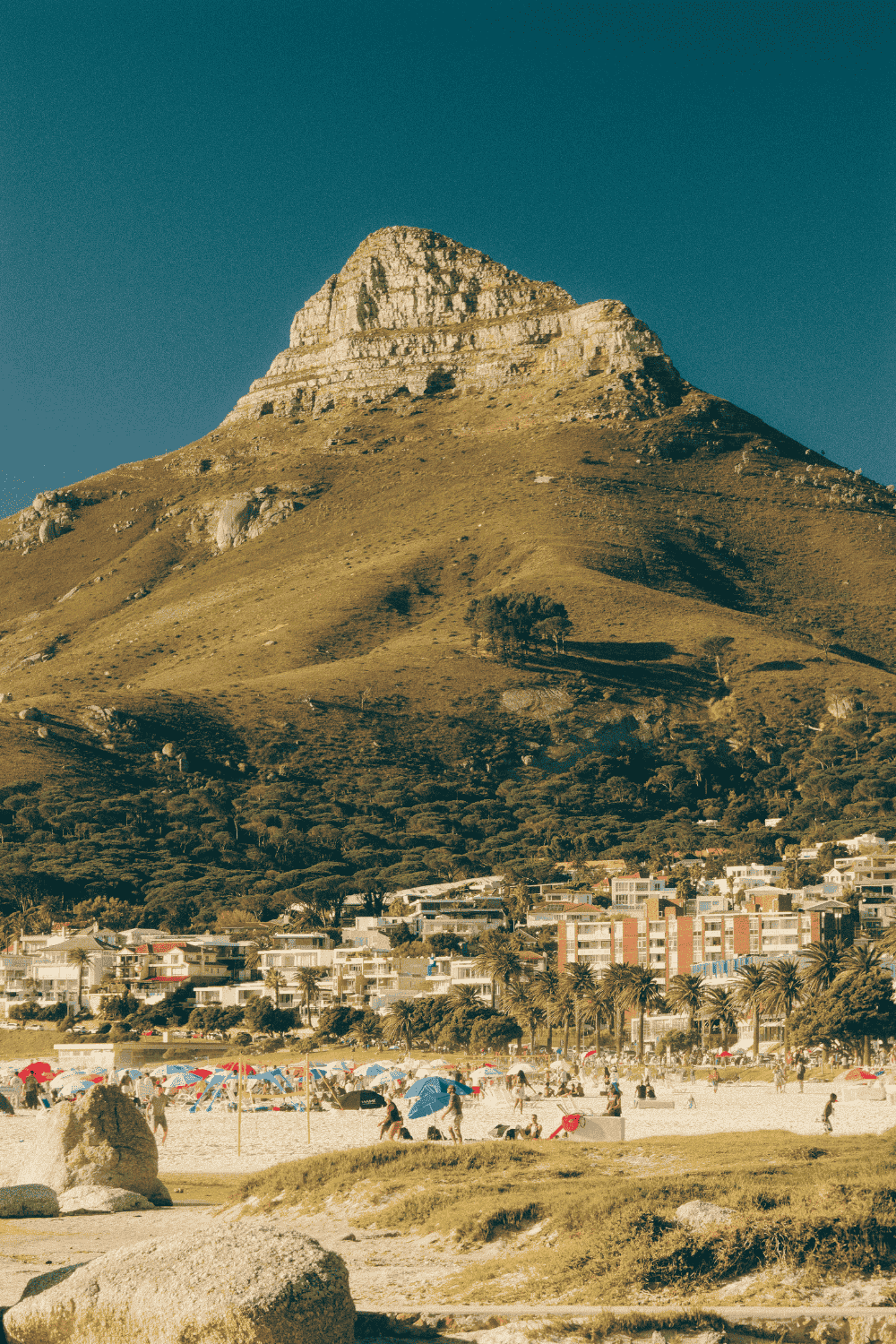 south africa travel in may cape town beach and mountains best places to visit in may 2026 safari destination