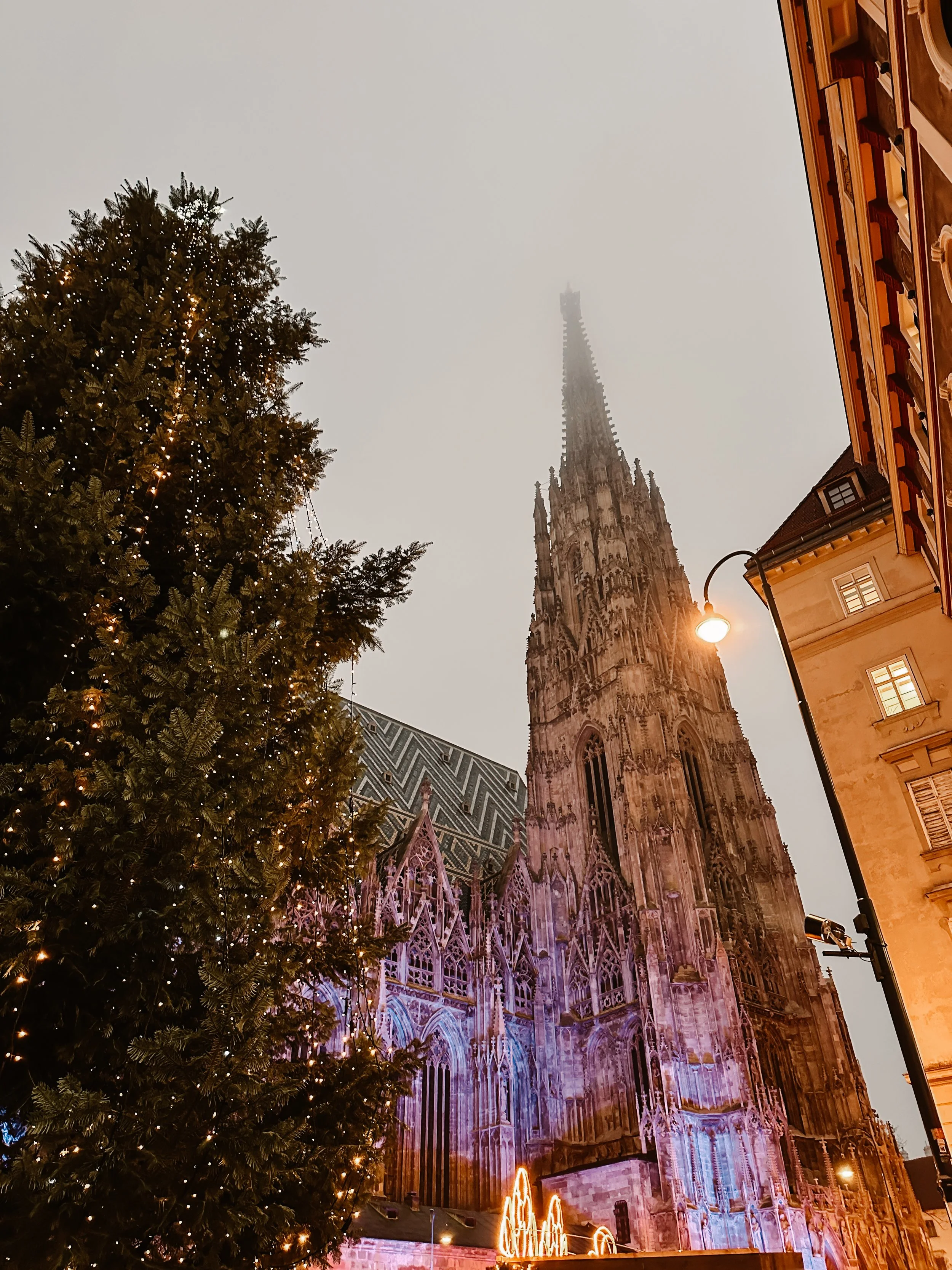 Impressione notturna della cattedrale di Vienna con alberi di Natale decorati e luci natalizie.