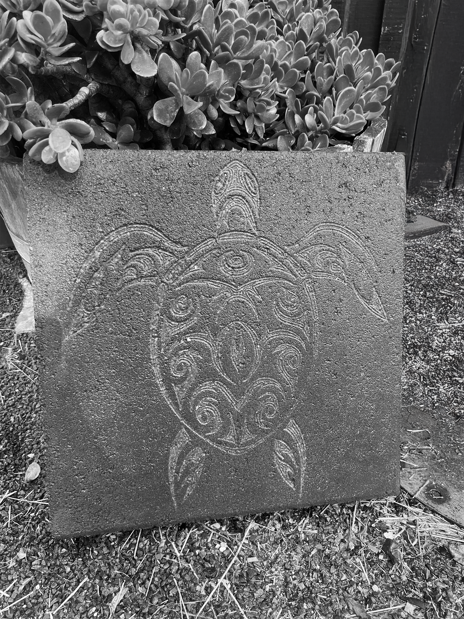 A square stone with an engraved tiki face, placed on the ground next to a potted succulent plant.