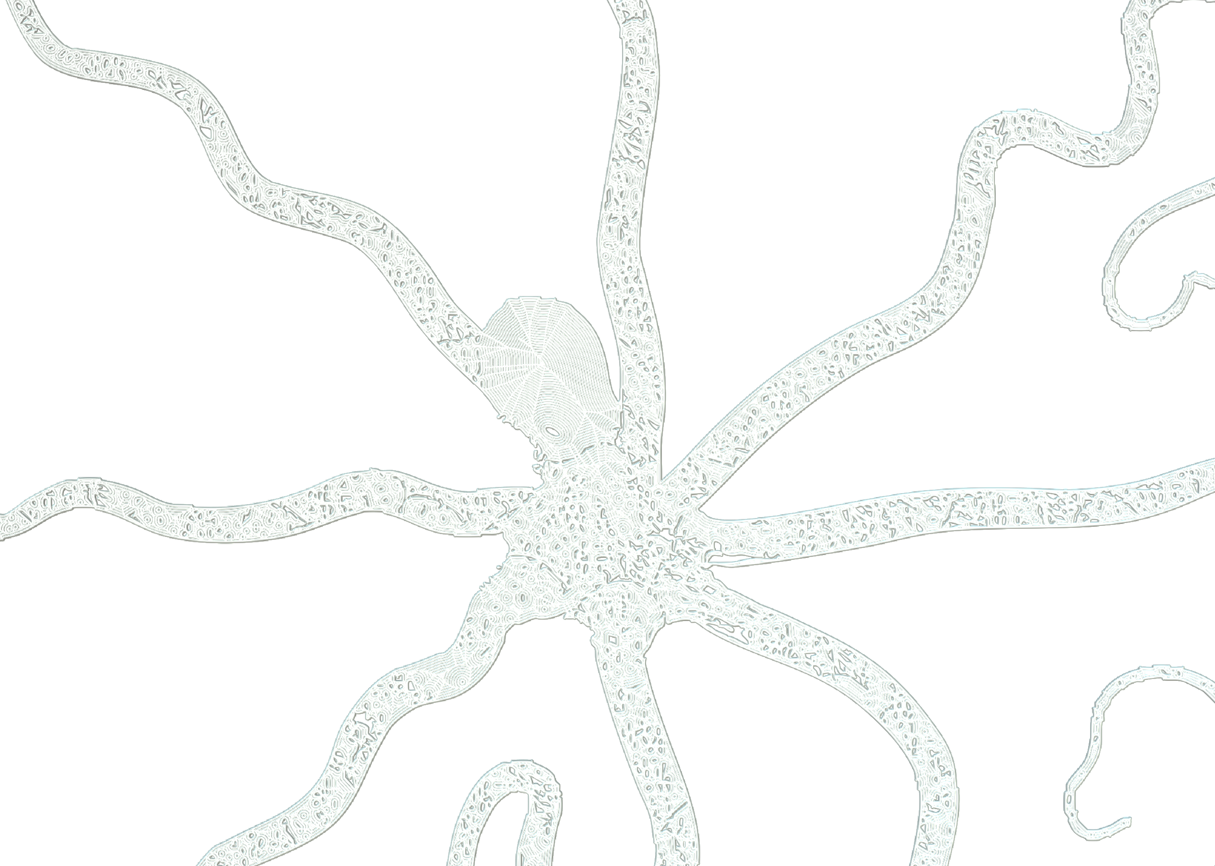 Line drawing of a starfish with intricate details on its arms, on a white background.
