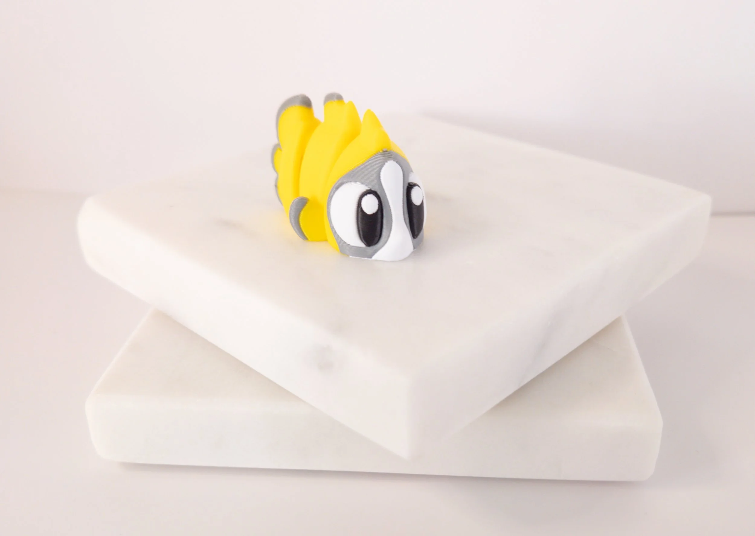 Blondie the Butterflyfish