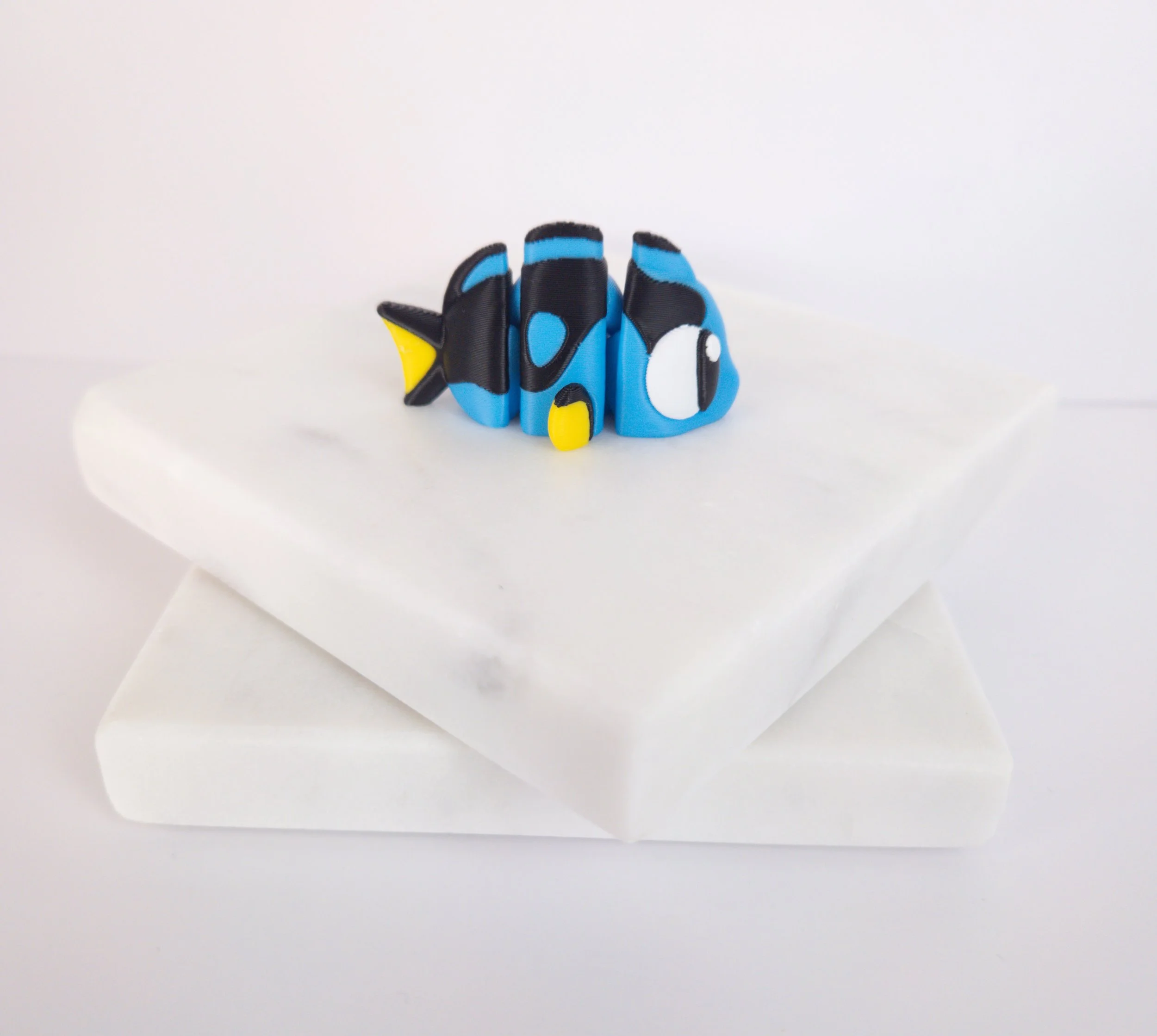 Billie the Blue Tang