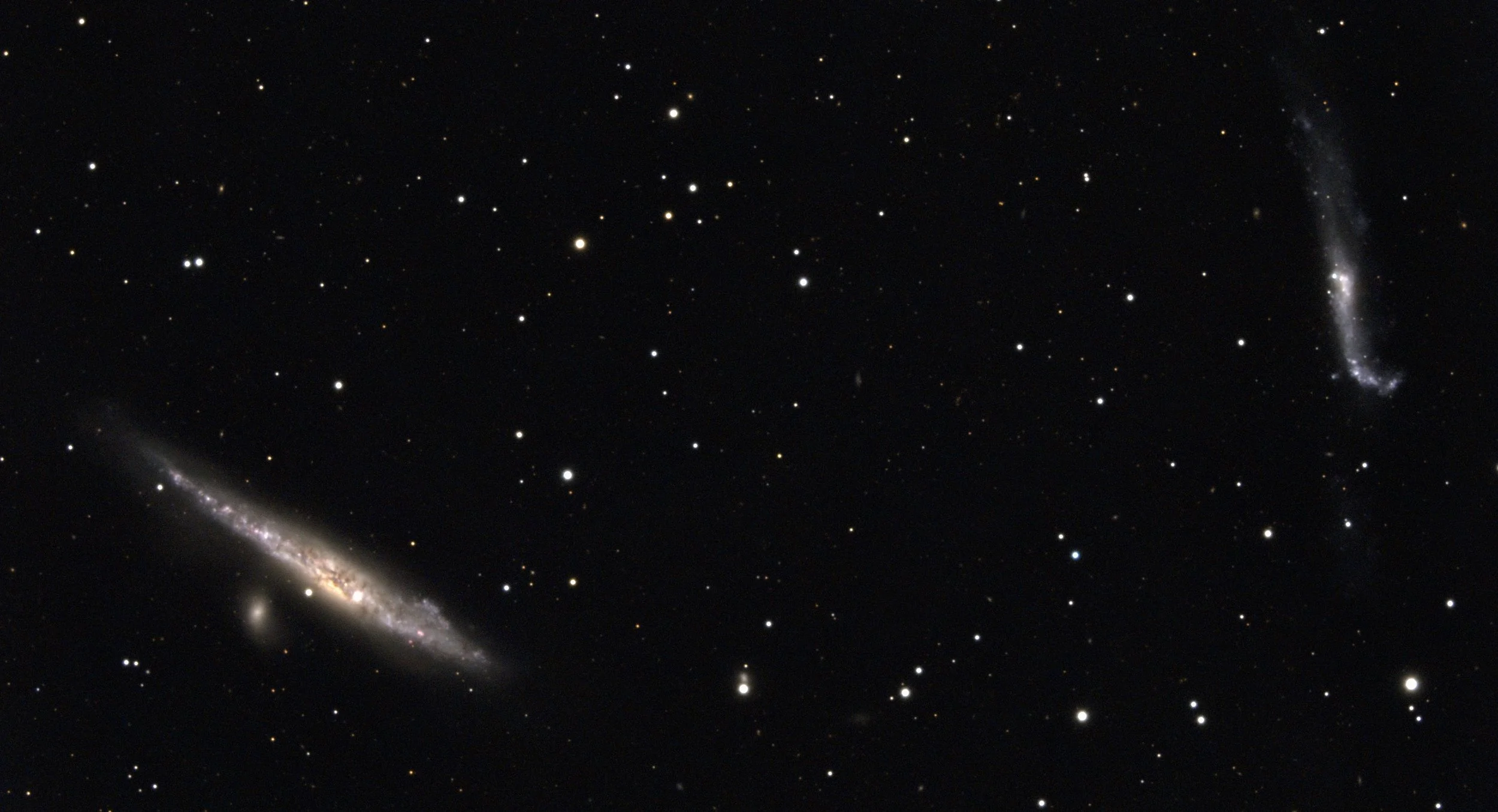 The Whale & Pup Galaxy