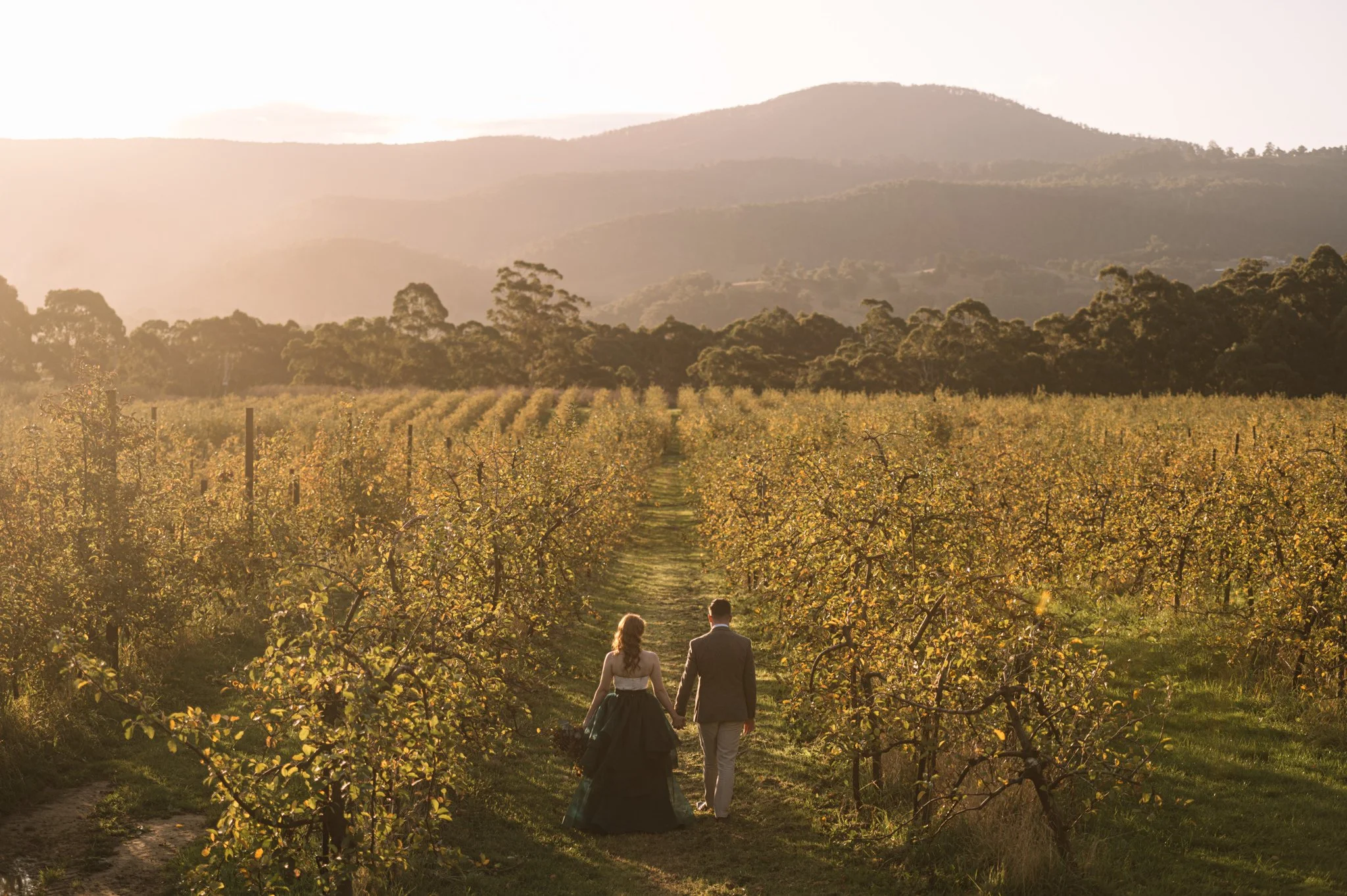 A man and woman holding hands walking through a vineyard during sunset with rolling hills and mountains in the background.