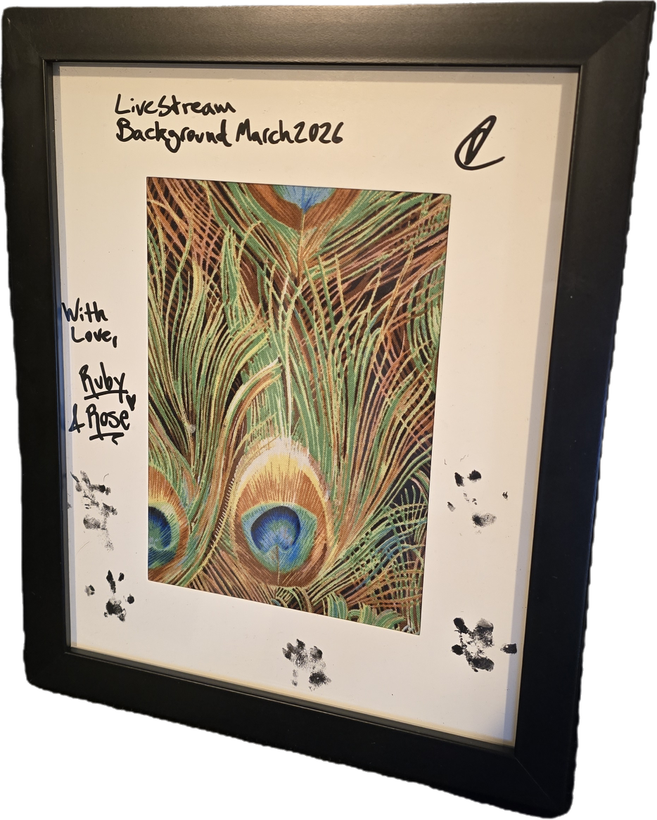 Framed Live Stream Memorabilia Signed By Ruby & Rose