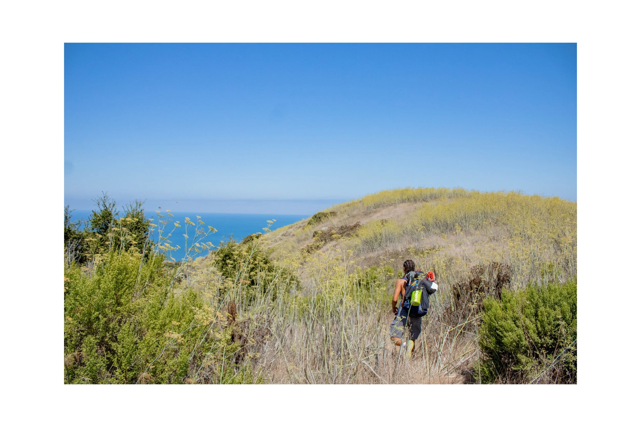 Santa Cruz Island, Channel Islands National Park