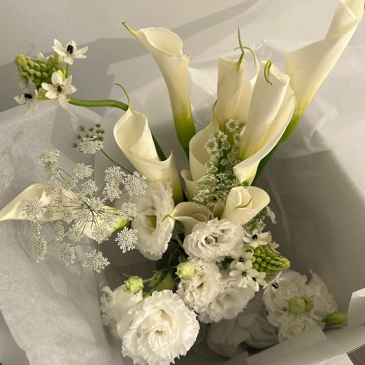 We&rsquo;re finally back 🌸 After a little break, we return with even more inspiration and new designs for you.

We&rsquo;re also diving into the world of weddings 🌸 just like this latest bridal bouquet we had the joy of creating.

#bridal #bridalbo