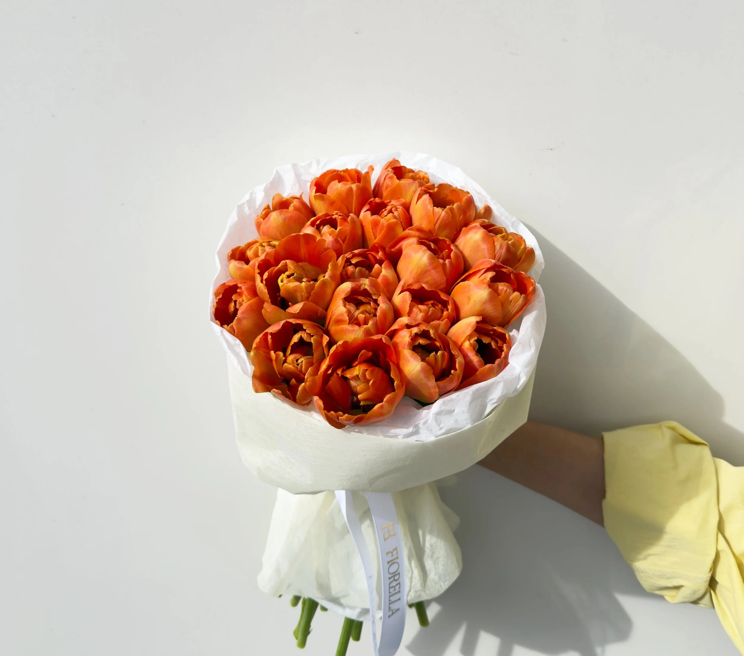 ALBA DI FIORI - model 3.1.jpeg