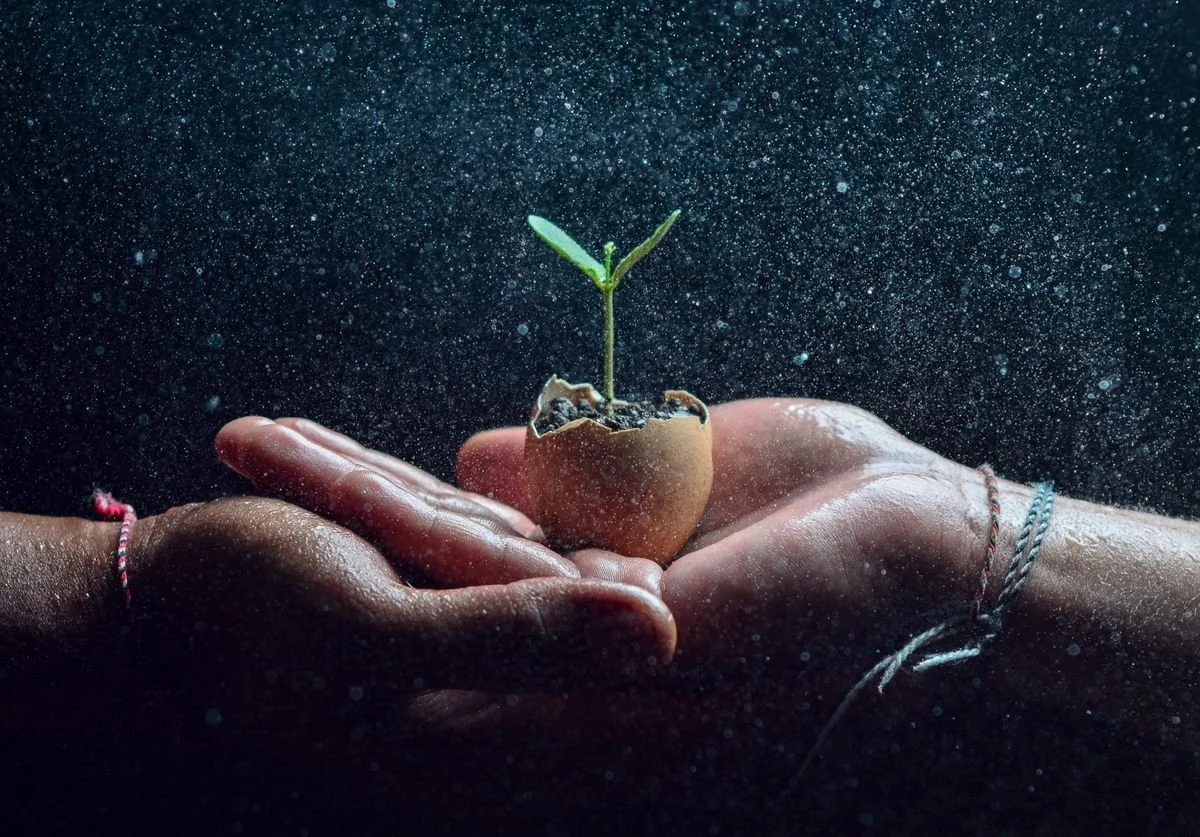 a-picture-of-two-hands-holding-a-plant-inside-of-an-egg-that-is-growing.jpg