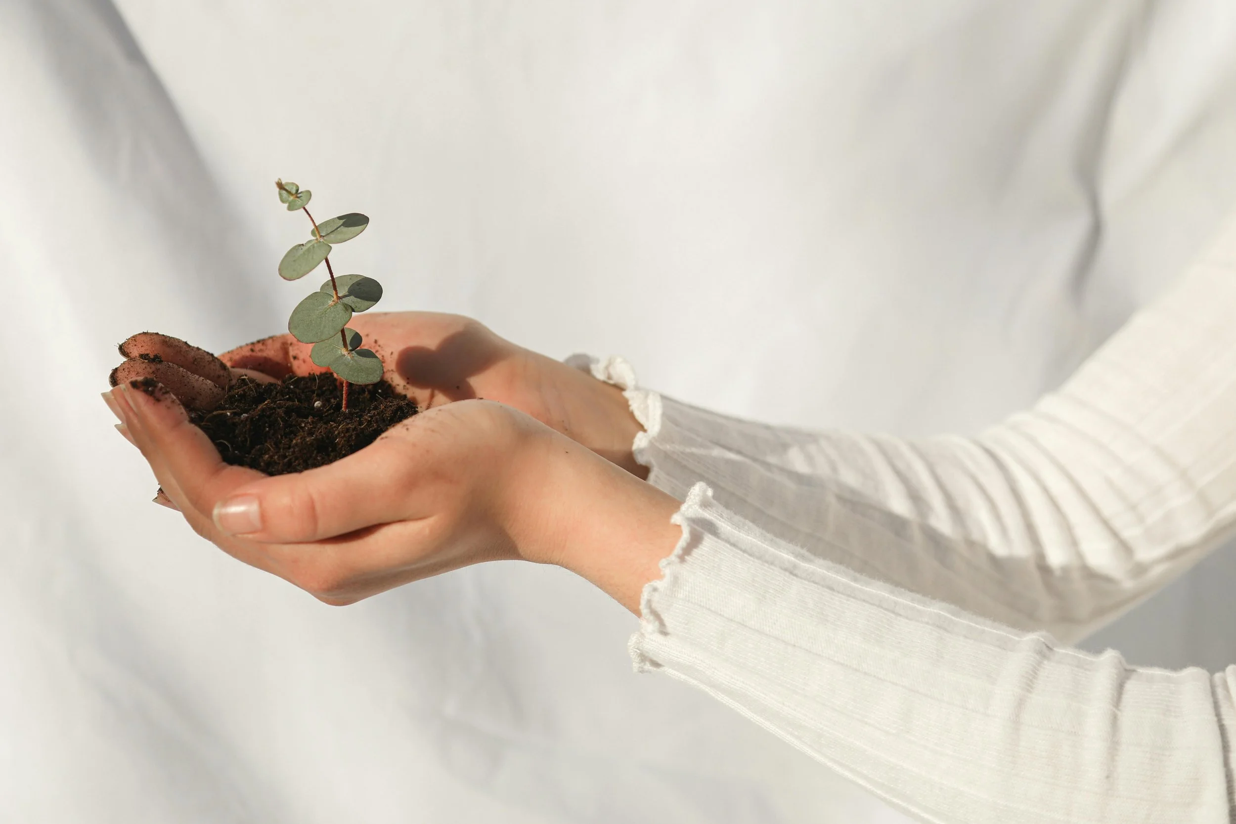 Your Business Is Growing: Is Your Website Growing With You?