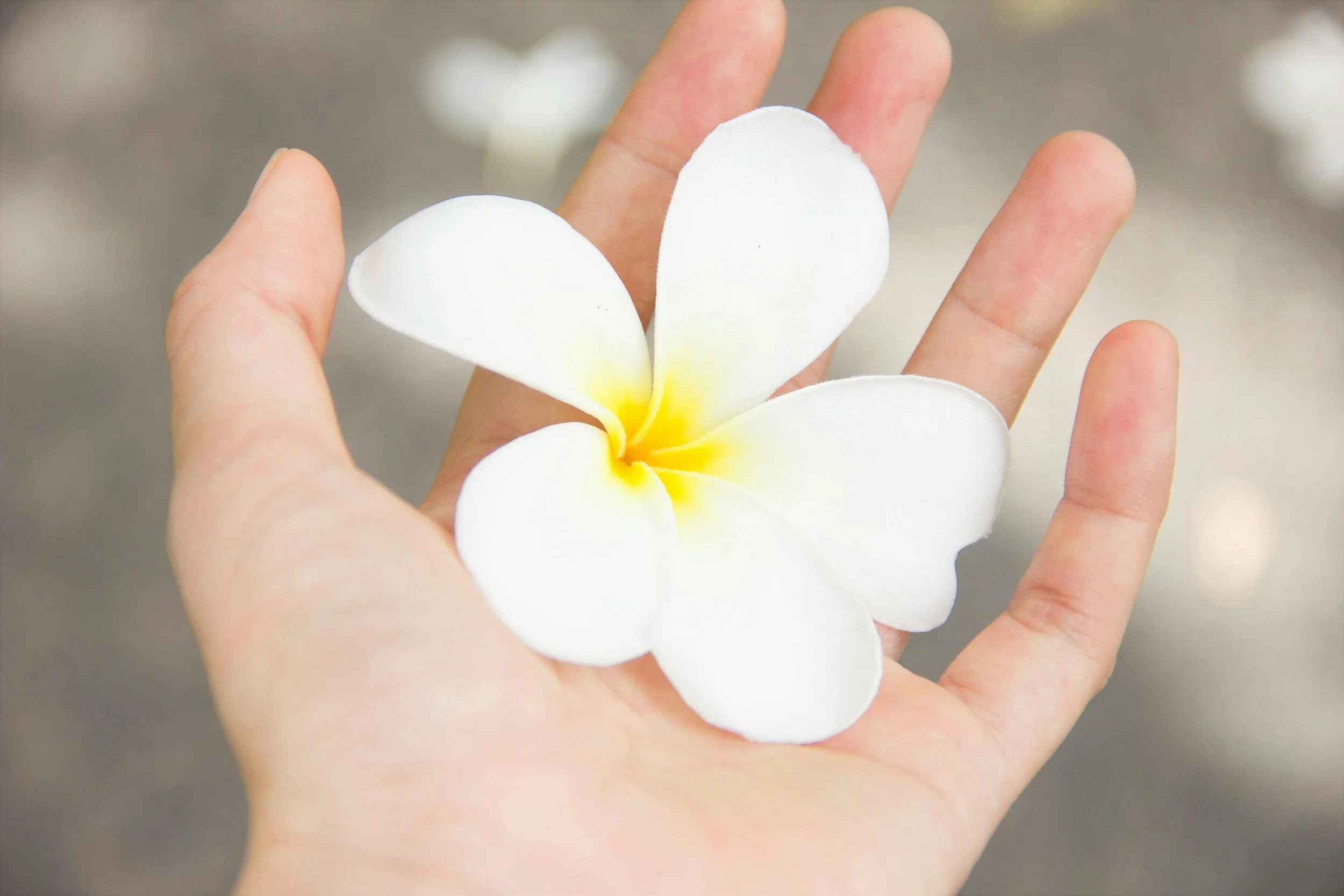 Let Your Website Hold the Same Care You Offer Your Clients