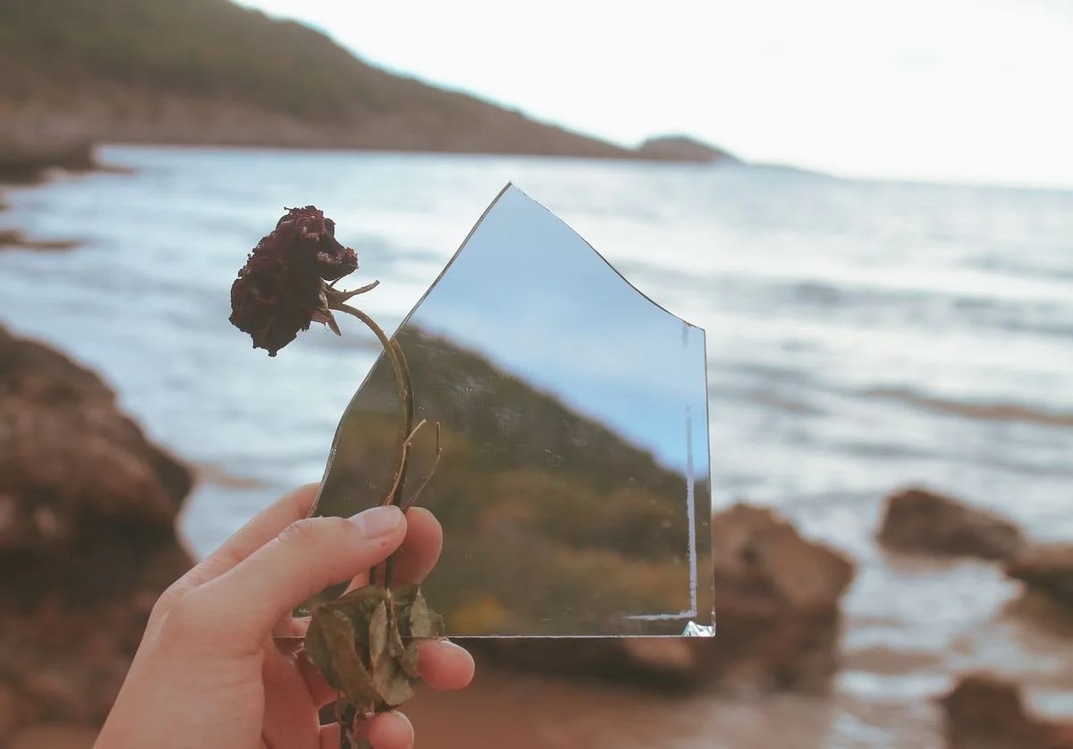 a-broken-mirror-near-the-sea-and-a-dying-rose.jpg
