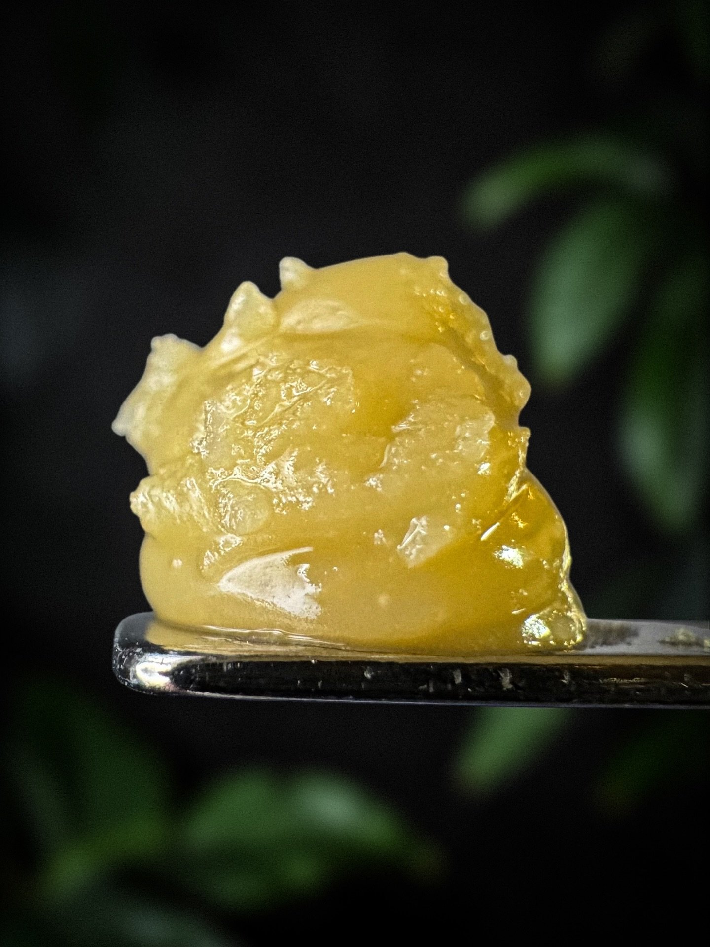 Hawaiian Icee - @pure.canna.co 

Clean jar. Nose is tropical fruit and citrus candy with a little creamy note behind it. Taste comes in with the sweet tropical fruit then smooths out with the creaminess on the exhale. Sweet but not overdone. Effects 
