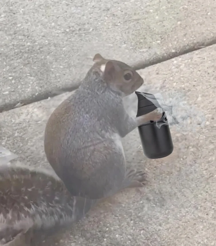 All yall since that @puffco proxy core dropped. 

#puffco