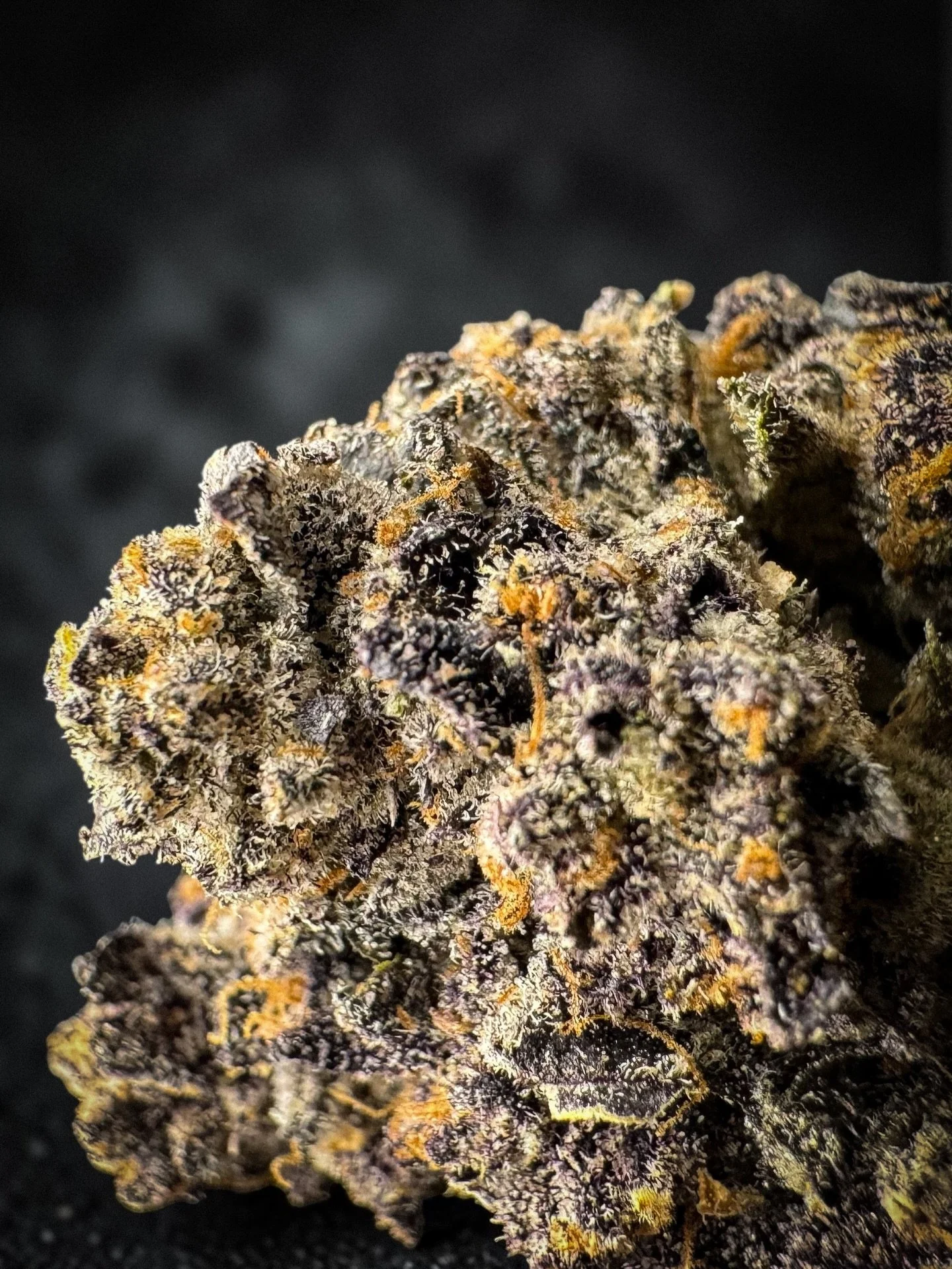 Sherb &ndash; @whitelabelexotics_co 

Nose on this is kinda light at first. You get a sweet, creamy thing but it&rsquo;s not jumping out the bag crazy or anything. Once you break it up though it wakes up a whole lot more. Creamy fruit comes through w