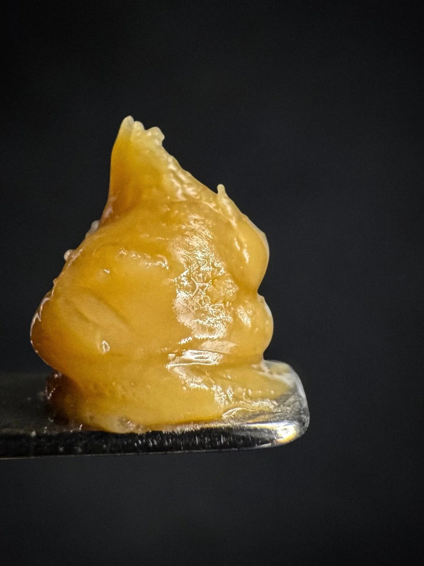 Golden Sands - @drwonderstone 

This one leans towards the OG in its lineage pretty hard. Nose is a smooth gas with sweet floral and a pretty noticeable hashy undertone. Not super loud, but it&rsquo;s got a deeper, resin heavy smell.

Flavor follows 